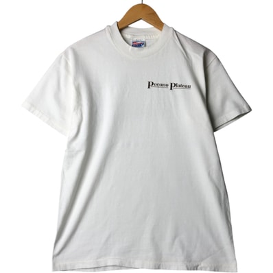 古着 90年代 ヘインズ Hanes BEEFY-T 青タグ バックプリント 鷲柄 イーグル柄 アニマルTシャツ USA製 メンズM相当 ヴィンテージ/eaa563660