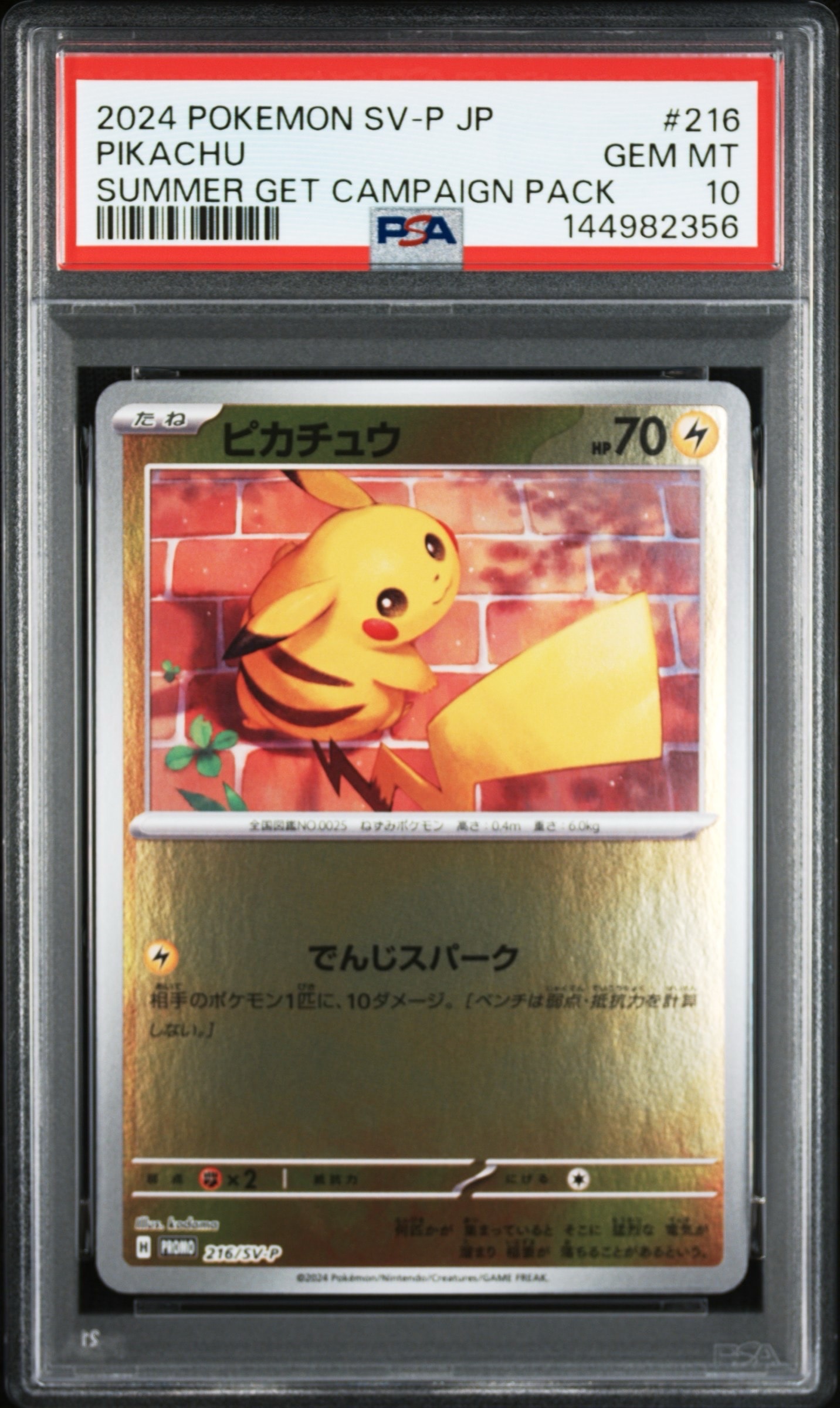 ピカチュウ P [SV-P 216](プロモカードパック「ポケカの夏がキタ!プロモカードGetキャンペーン!」)