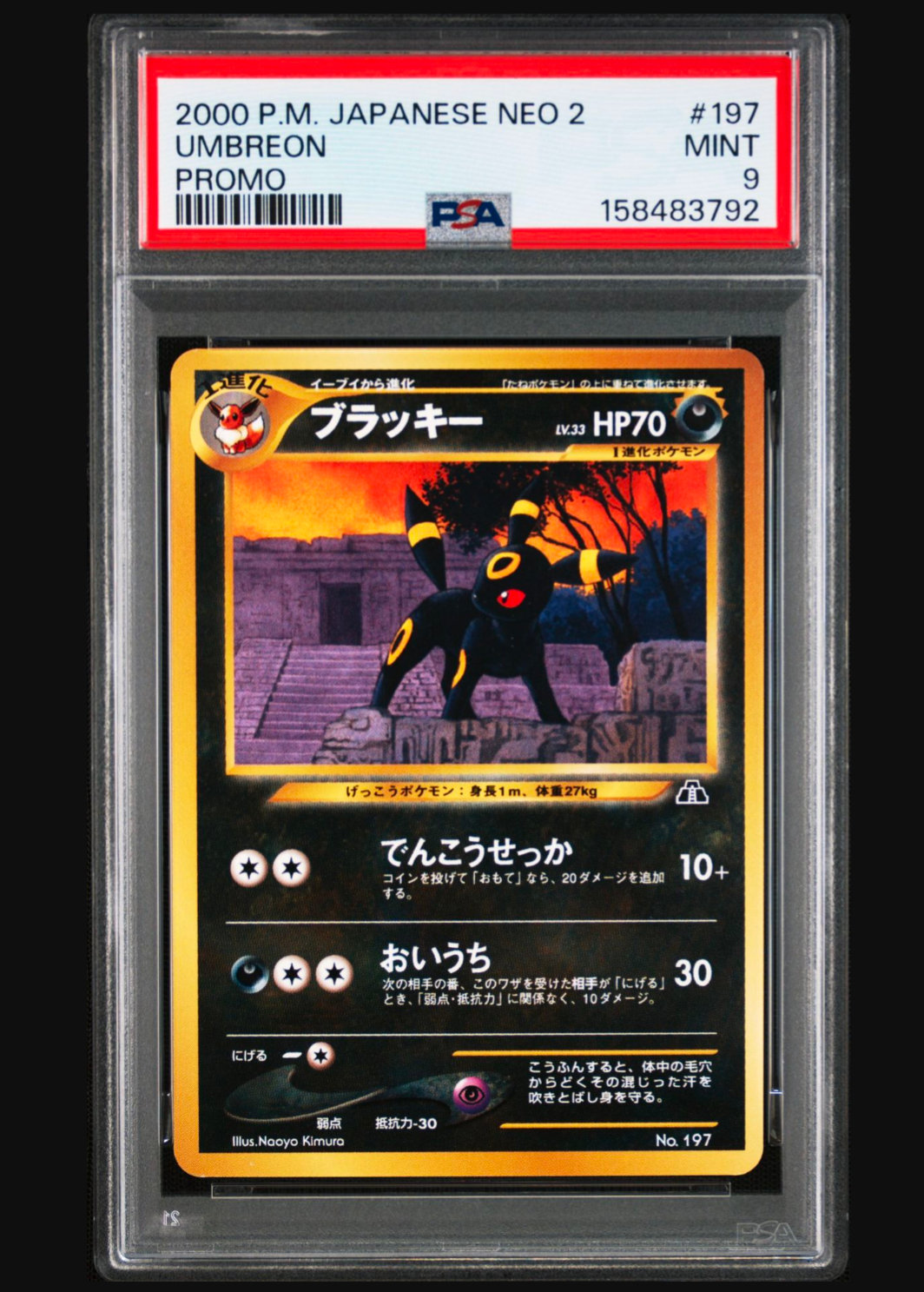 PSA10】ブラッキープレミアムファイル2: 旧裏[neoP2 No.197