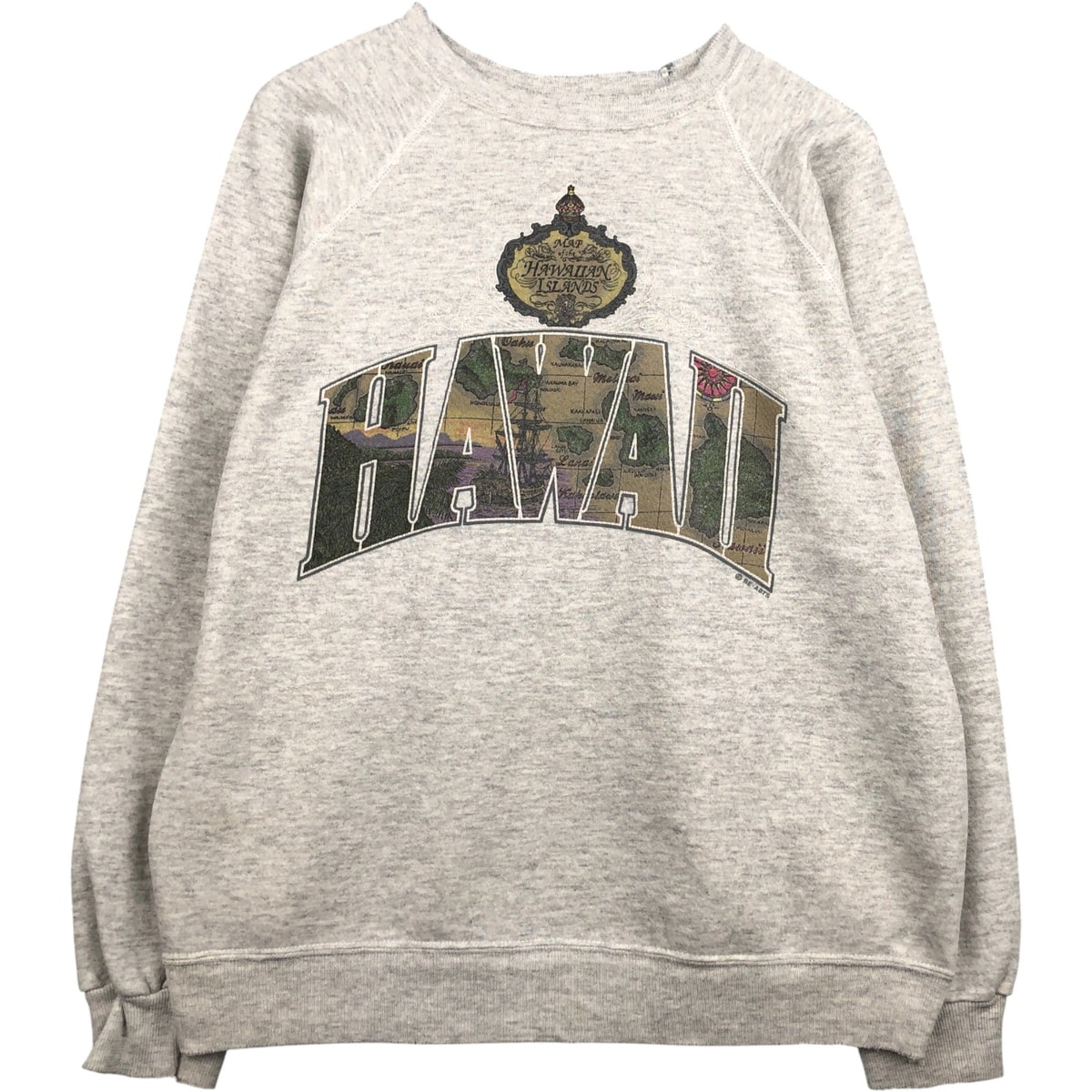 古着 90~00年代 ヘインズ Hanes プリントスウェットシャツ トレーナー USA製 メンズL相当 ヴィンテージ/eaa591090