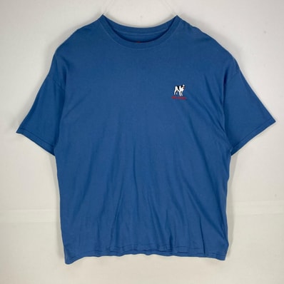 古着 ヘインズ Hanes 半袖Tシャツ BIG DOGS クルーネック ショートスリーブ 3XL ブルー系 バックプリント メンズ