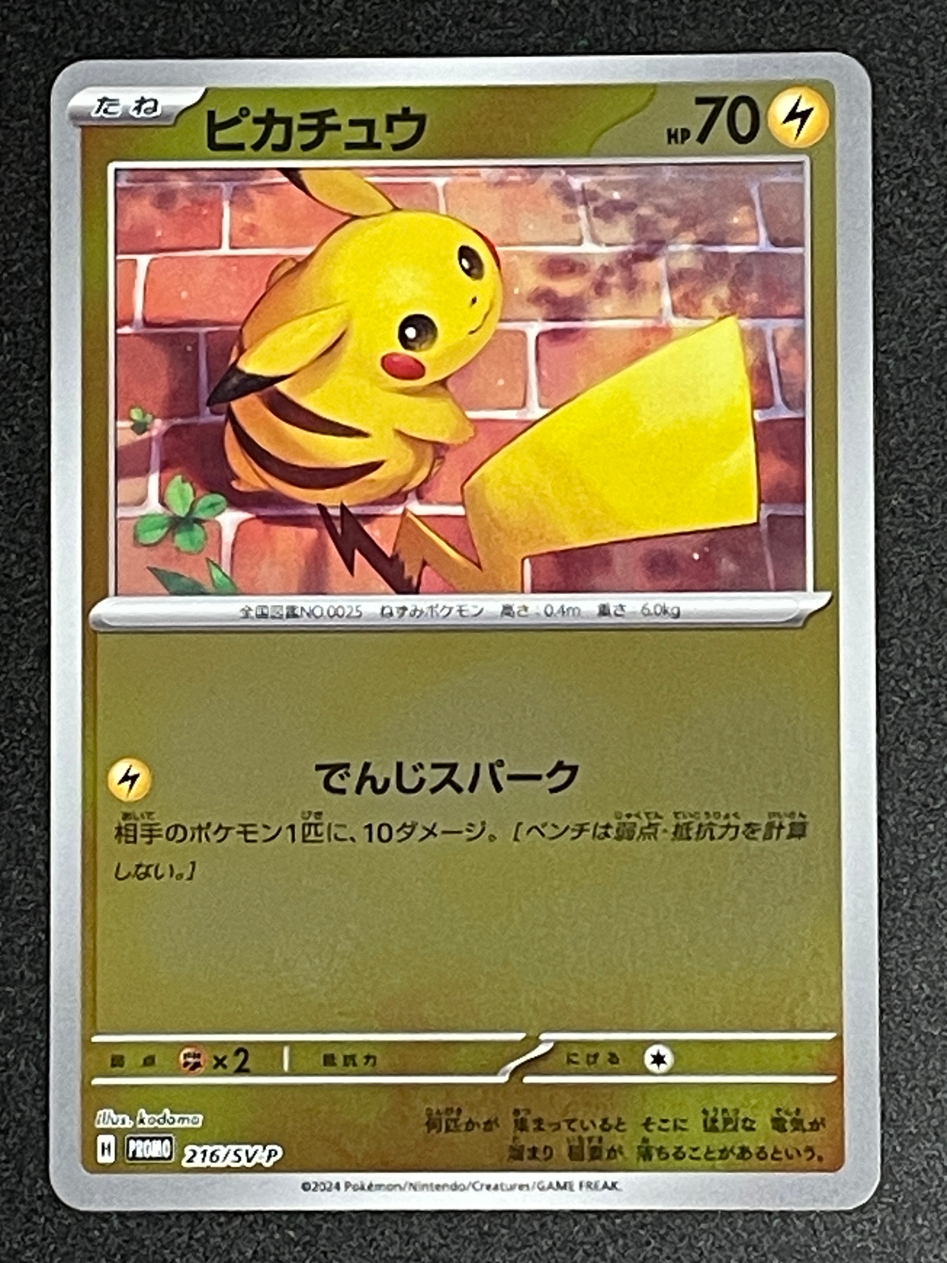 ピカチュウ P [SV-P 216](プロモカードパック「ポケカの夏がキタ!プロモカードGetキャンペーン!」)