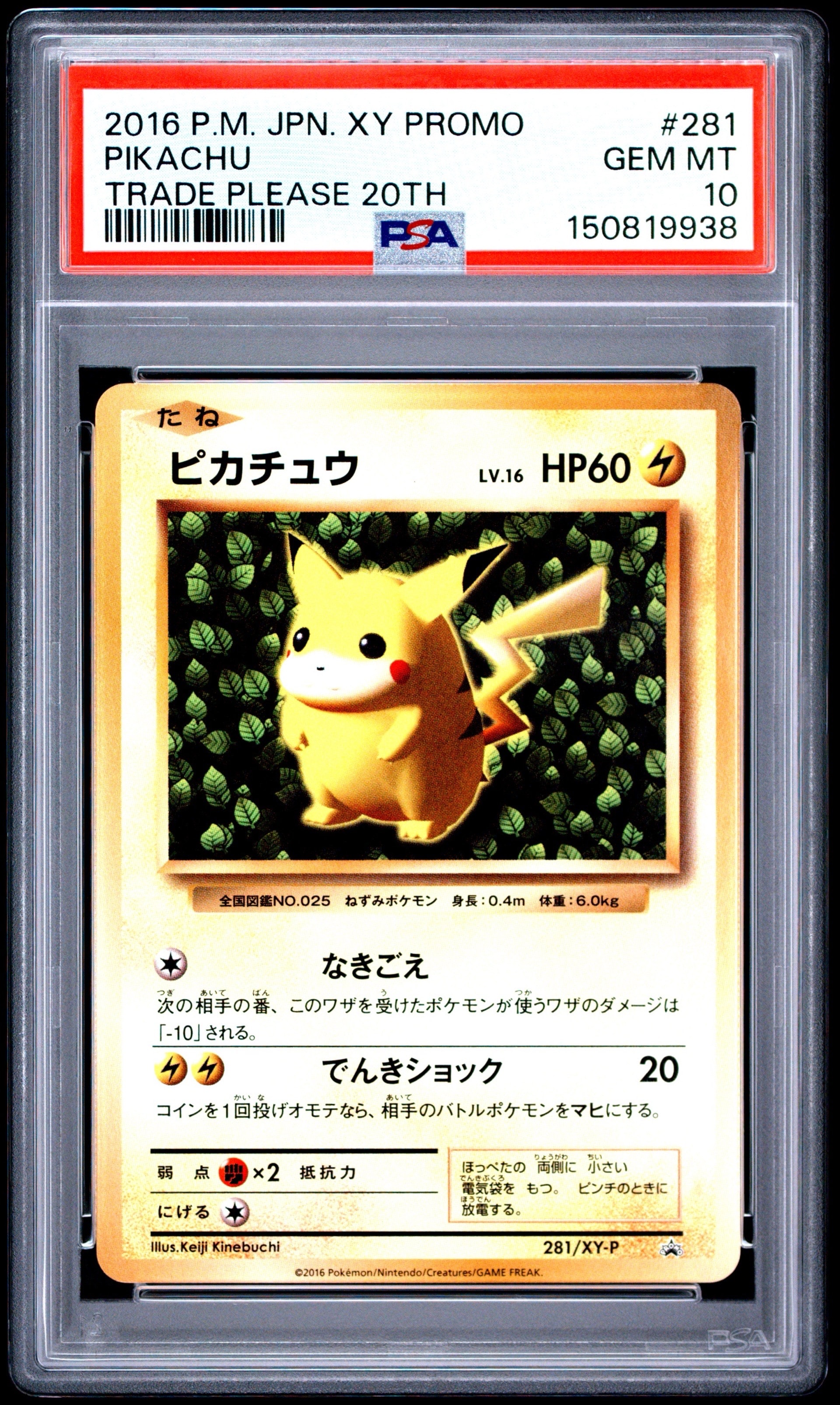 ピカチュウ: プロモ[XY-P 281/XY-P](プロモーションカード「XY-P」)