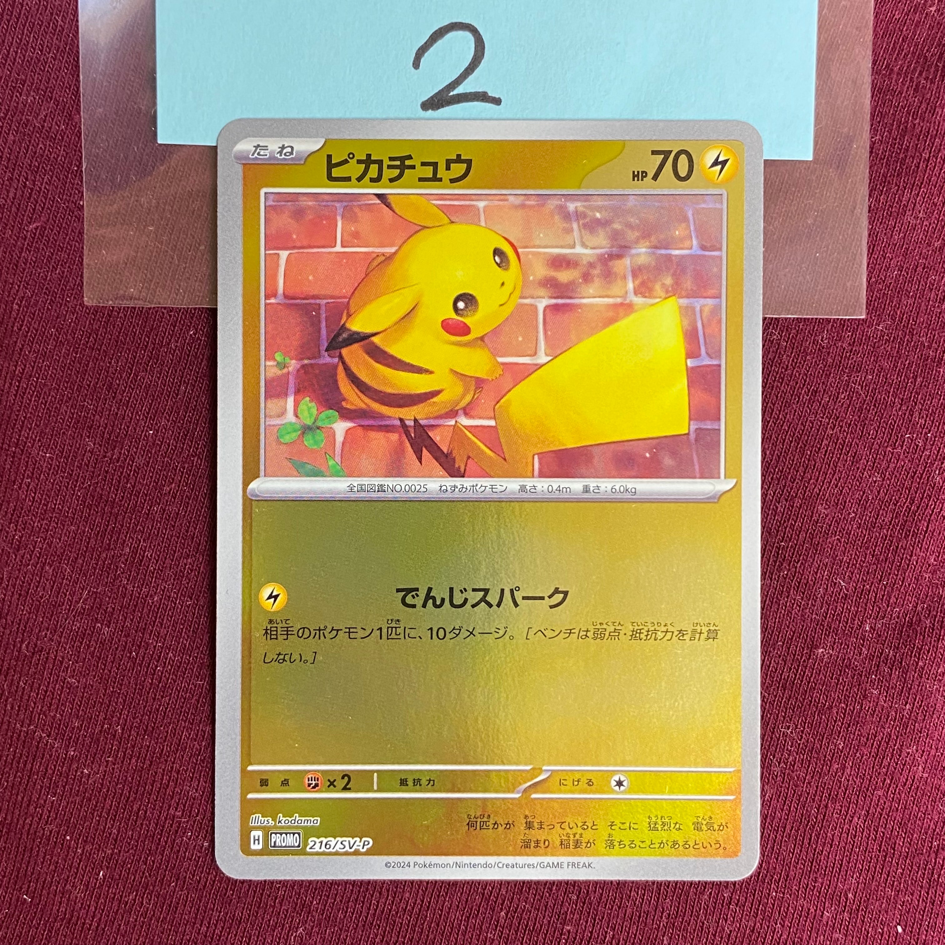 PSA10】ピカチュウ P [SV-P 216](プロモカードパック「ポケカの夏が