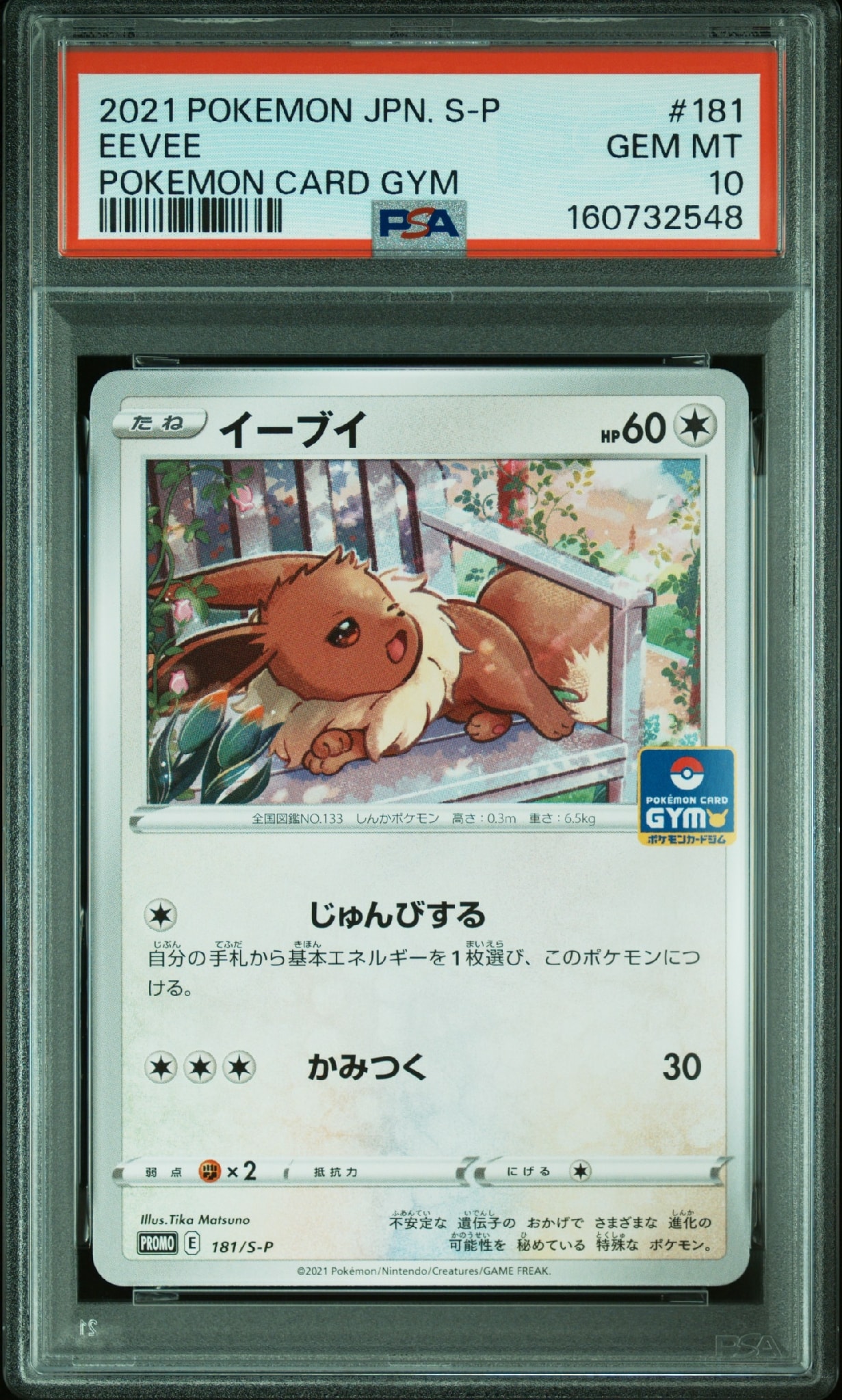 イーブイ: プロモ P [S-P 181](ポケモンカードゲーム ソード&シールド 「プロモカードパック 第6弾」)