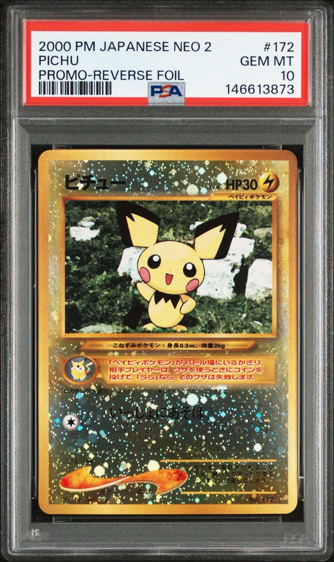 ピチュープレミアムファイル2: 旧裏[neoP2 No.172](プレミアムファイル2)