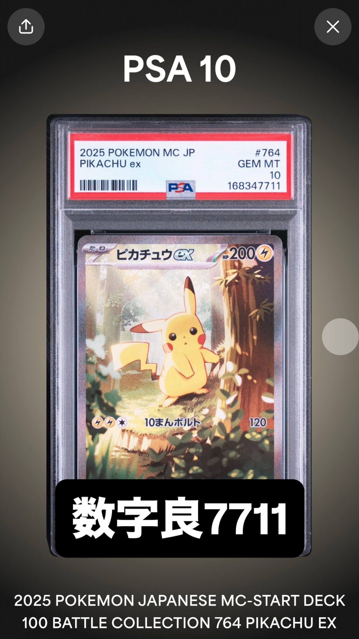 ピカチュウex SAR仕様 [MC 764/742](スタートデッキ100「バトルコレクション」)