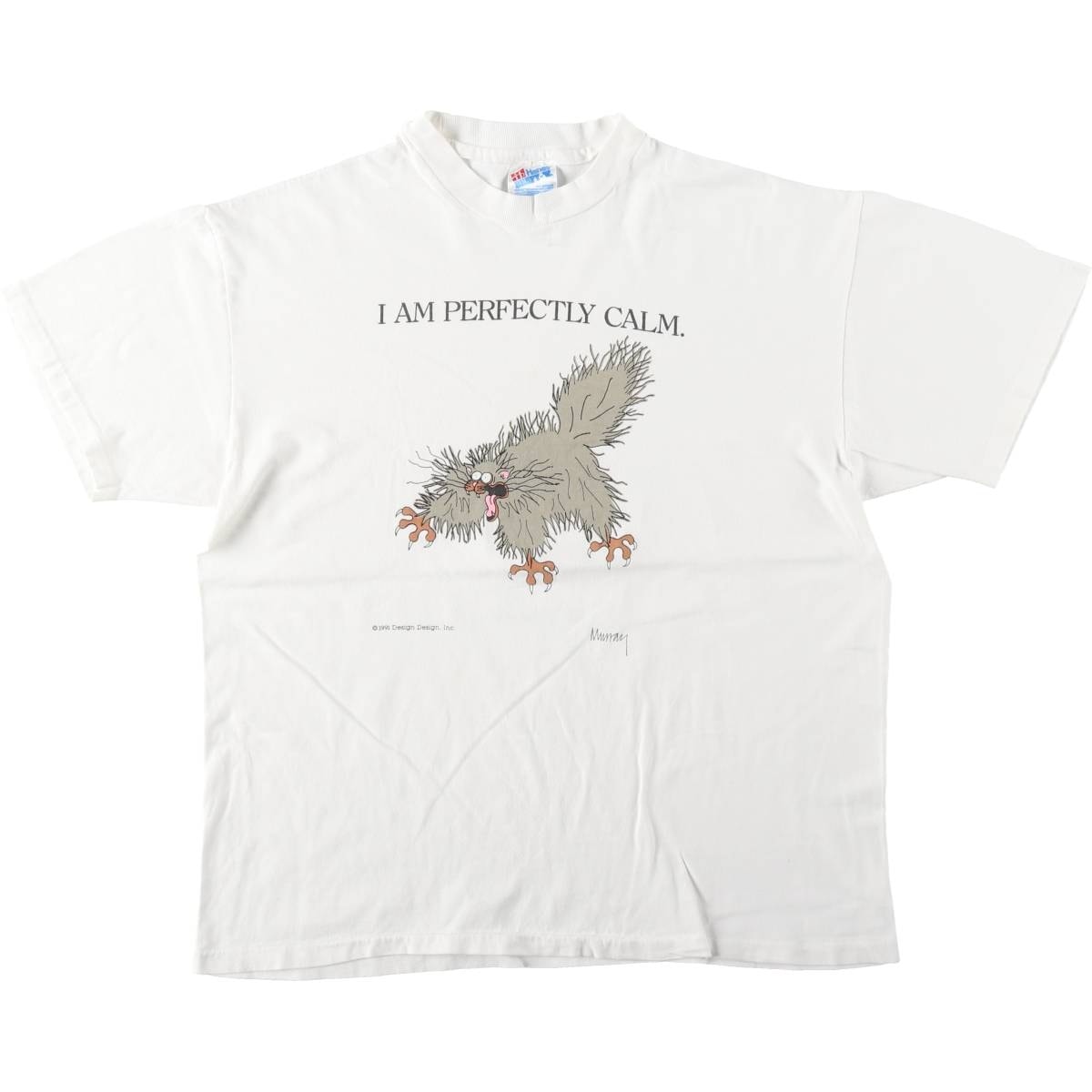古着 90年代 ヘインズ Hanes BEEFY-T プリントTシャツ USA製 メンズL相当 ヴィンテージ/eaa642197