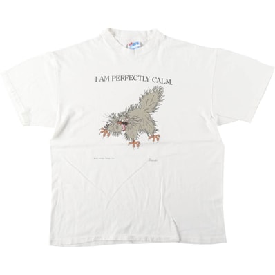 古着 90年代 ヘインズ Hanes BEEFY-T プリントTシャツ USA製 メンズL相当 ヴィンテージ/eaa642197