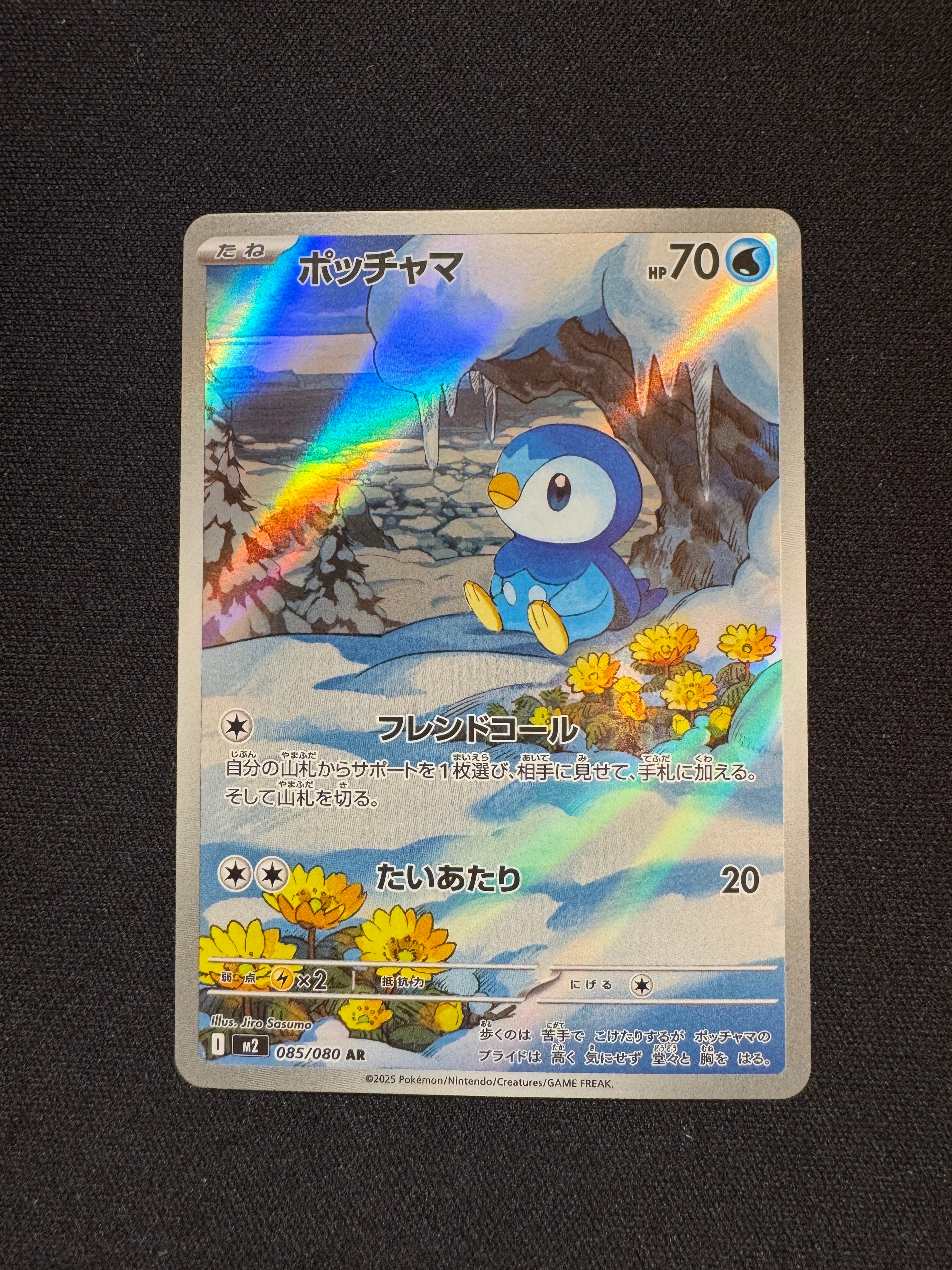 PSA10】ポッチャマ AR [M2 085/080](拡張パック「インフェルノX」) 5枚