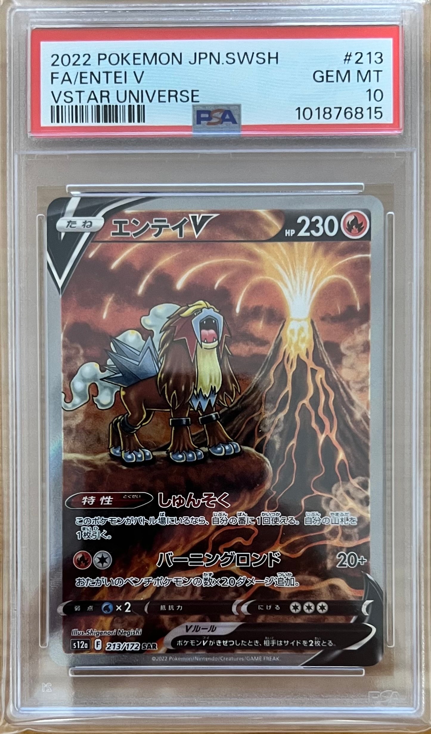 PSA10】エンテイV SAR[s12a 213/172](ハイクラスパック「VSTAR