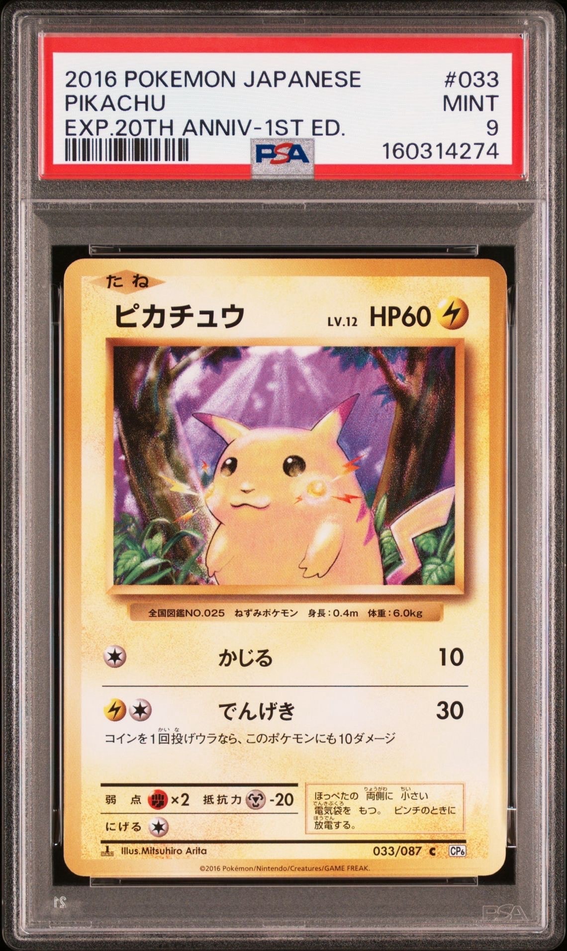 ピカチュウ C :1ED [CP6 033/087](コンセプトパック「ポケットモンスターカードゲーム 拡張パック 20th Anniversary」)
