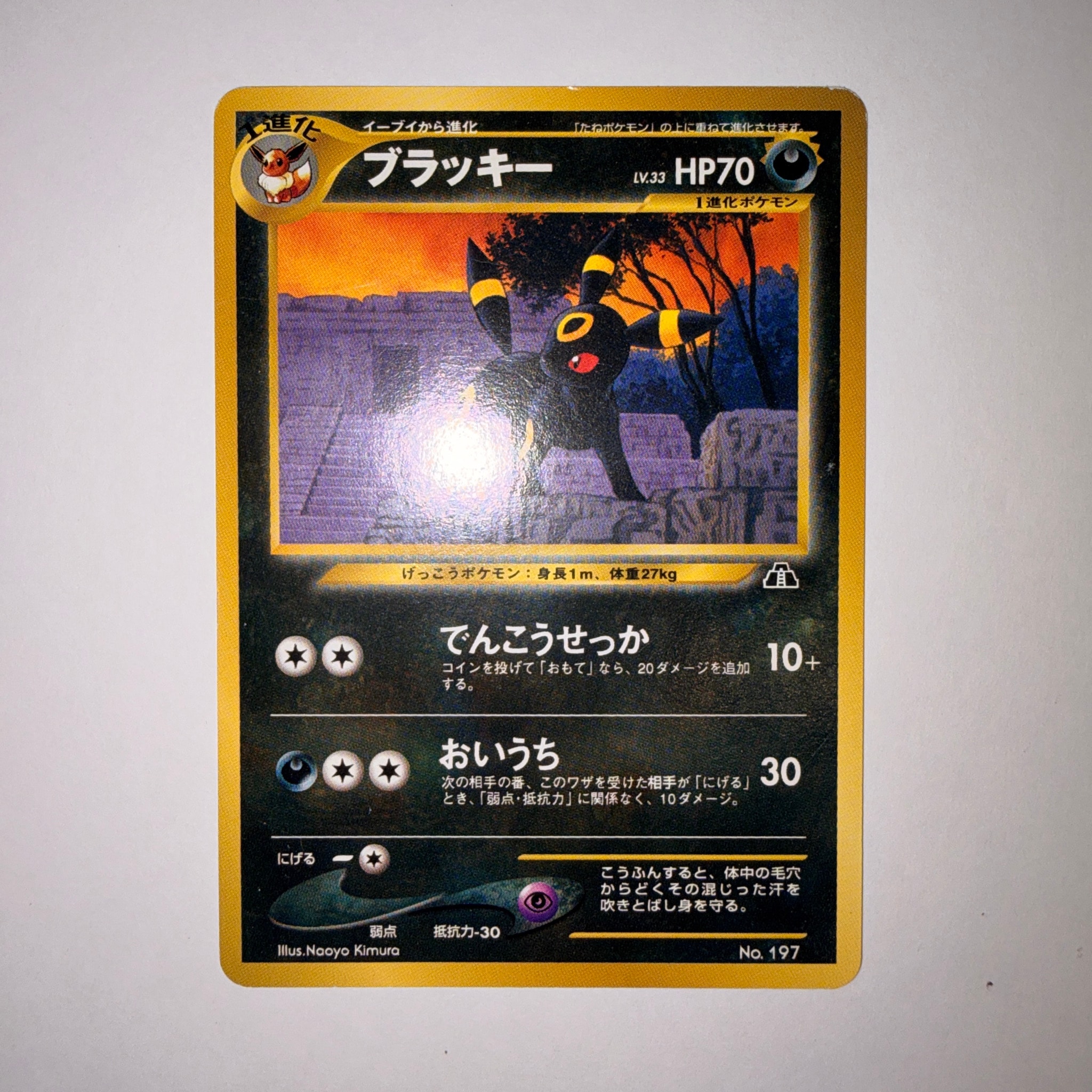 PSA8以下】ブラッキープレミアムファイル2: 旧裏[neoP2 No.197