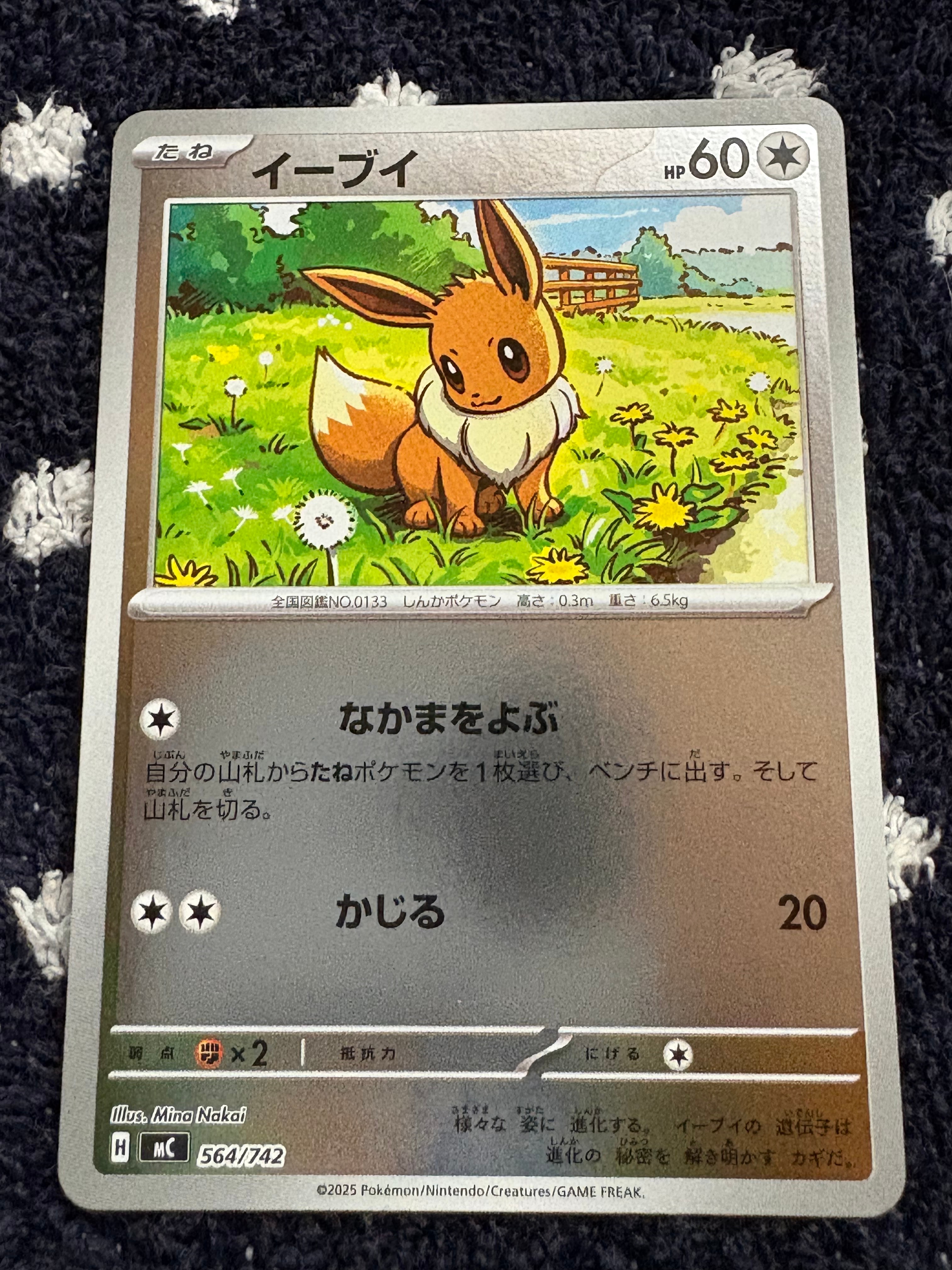 イーブイ :ミラー [MC 564/742](スタートデッキ100「バトルコレクション」)