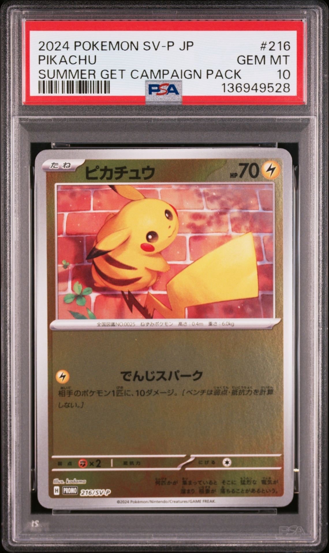 ピカチュウ P [SV-P 216](プロモカードパック「ポケカの夏がキタ!プロモカードGetキャンペーン!」)