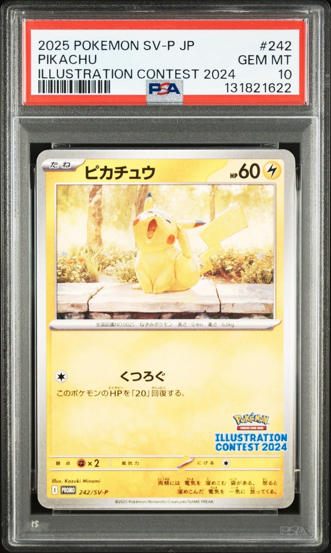 ピカチュウ [SV-P 242](プロモカードパック「イラストレーション