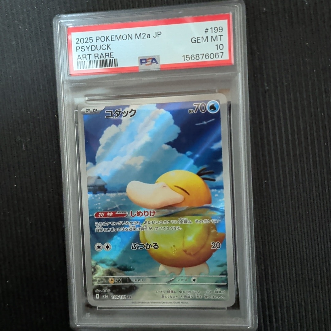 コダック AR [M2a 199/193](ハイクラスパック「MEGAドリームex」)通販