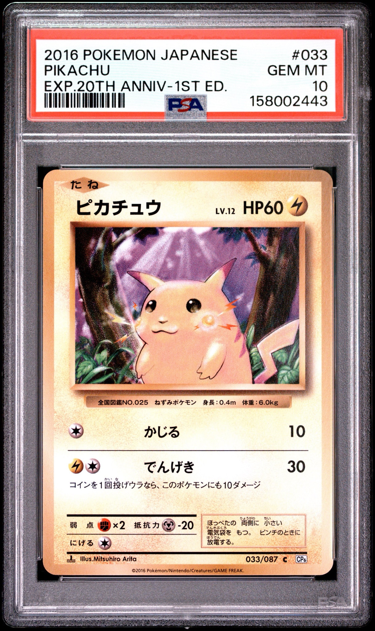 ピカチュウ C :1ED [CP6 033/087] ピカチュウ C :1ED [CP6 033/087](コンセプトパック