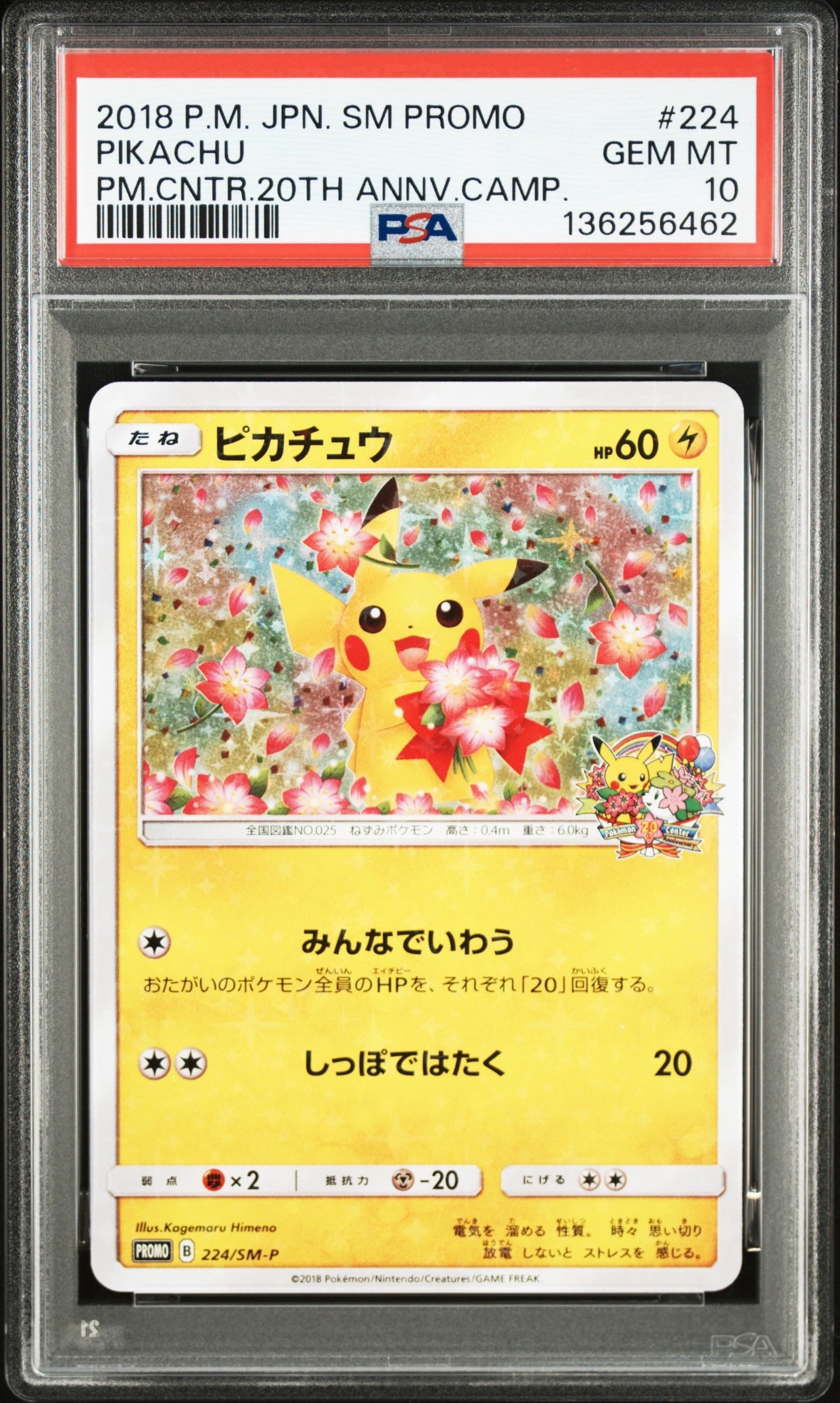 ピカチュウ: プロモ[SM-P 224](プロモーションカード「SM-P」)の新品