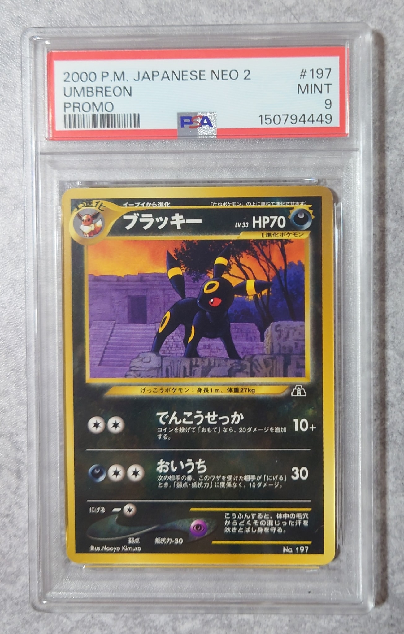 PSA8以下】ブラッキープレミアムファイル2: 旧裏[neoP2 No.197