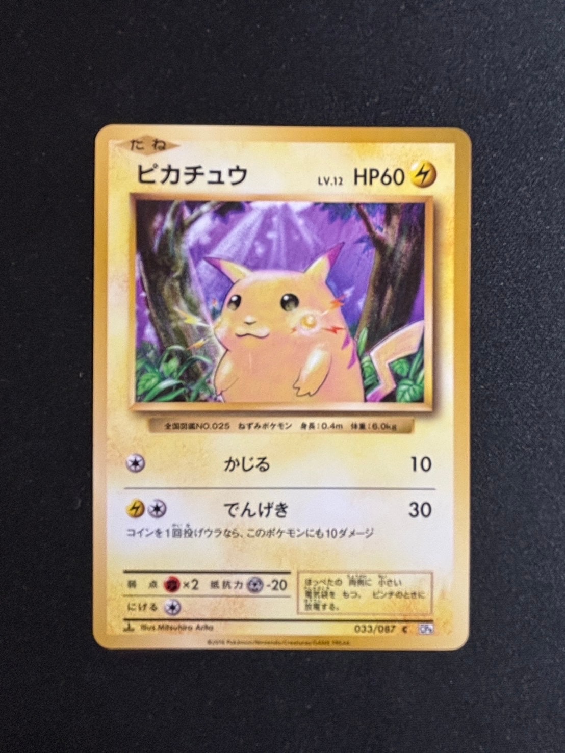 イーブイ プロモ psa10 ポケモンカード 033/SV-P PSA10】イーブイ: プロモ [SV-P 033](「 ポケモンカードゲーム教室
