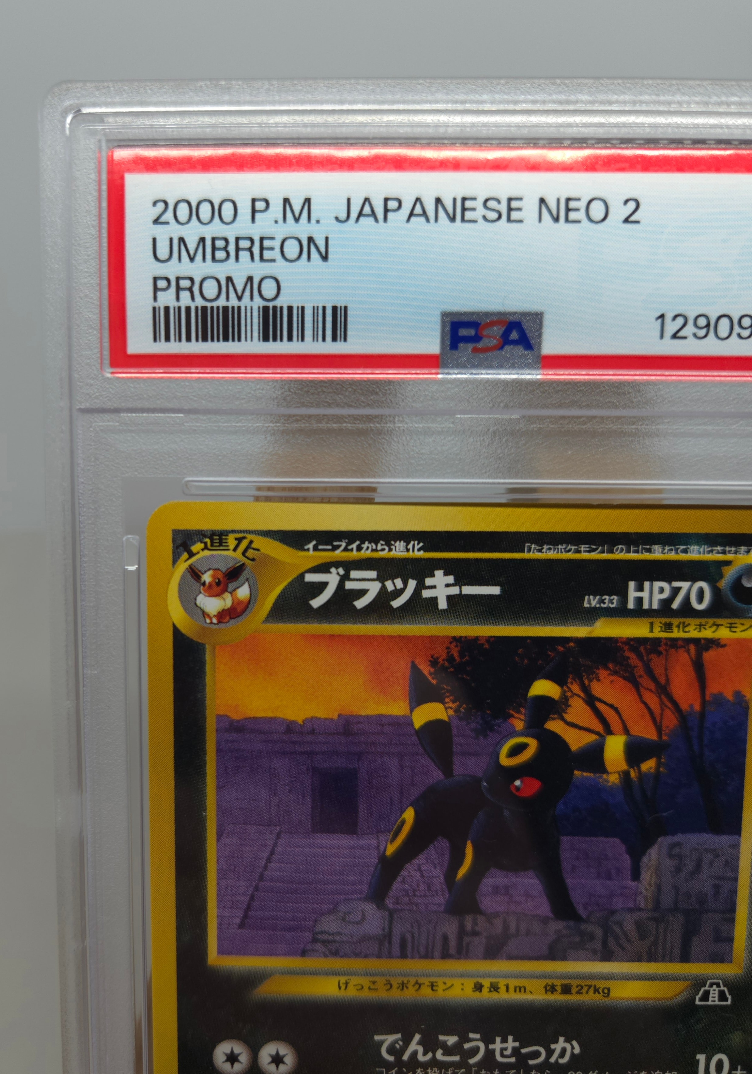PSA9】ブラッキープレミアムファイル2: 旧裏[neoP2 No.197](プレミアム