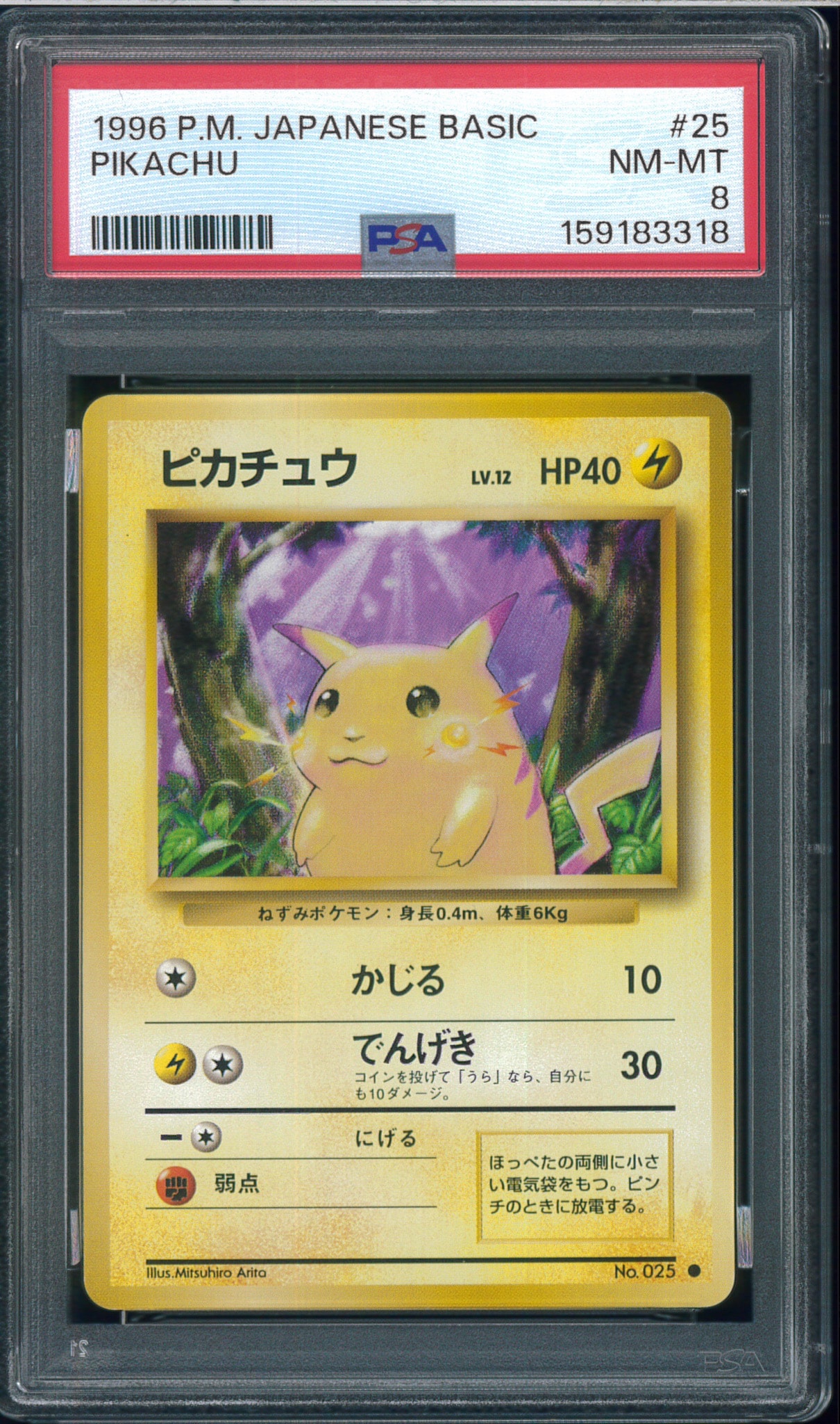 ピカチュウ ● : 旧裏 [PMCG1-2](拡張パック「ポケットモンスター カードゲーム」再販)