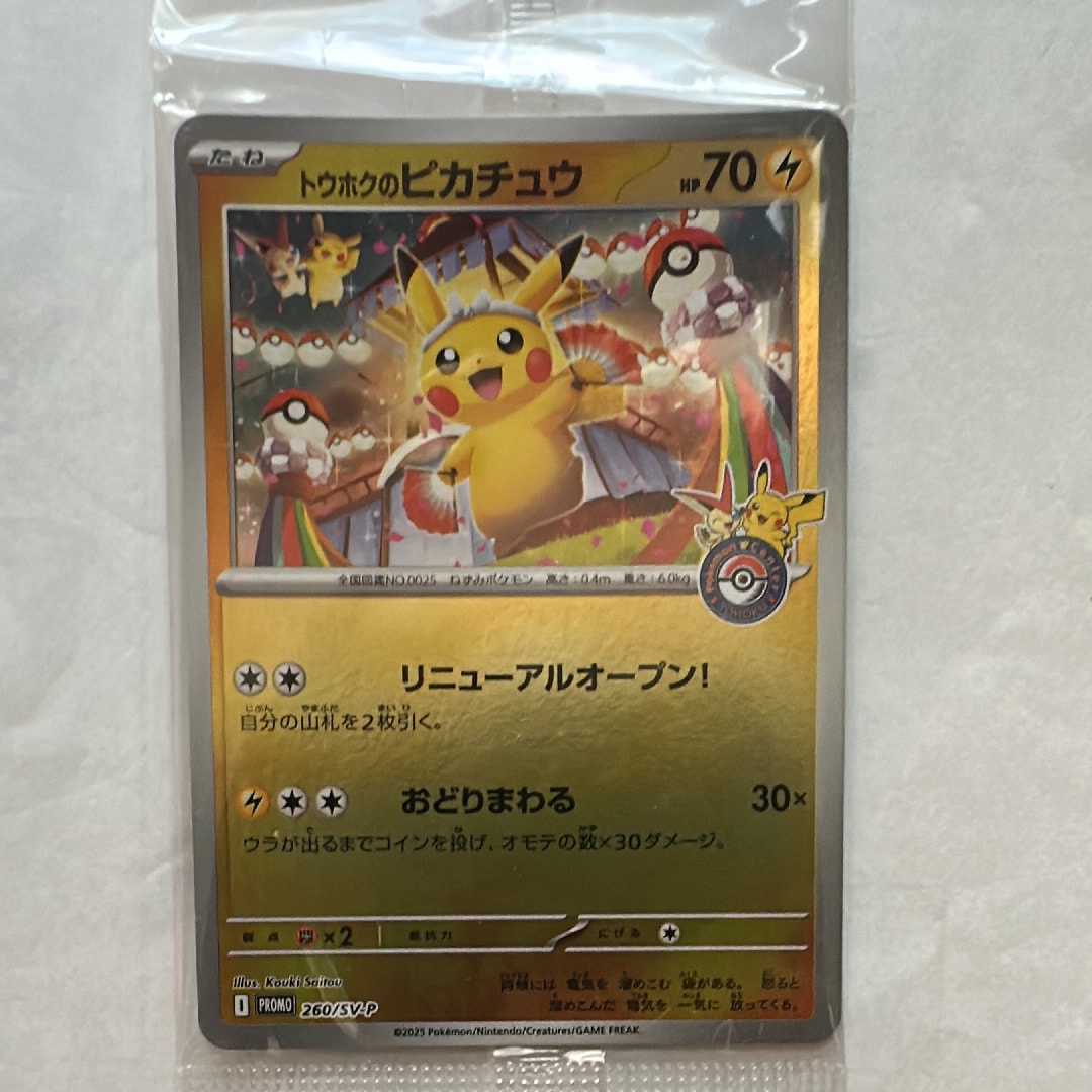 ポケパークのゴンベ [PCG 008/009](ポケパークプレミアムファイル