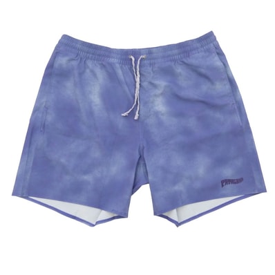 patagonia パタゴニア 25SS STY86436SP25 Men's Hydropeak Volley Shorts メンズ ハイドロピーク バレー ショーツ ショートパンツ ブルー パープル系 L【中古】