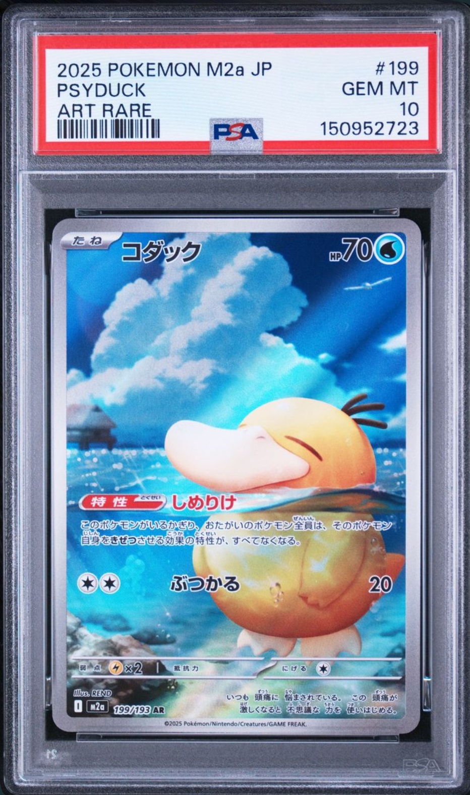 コダック AR [M2a 199/193](ハイクラスパック「MEGAドリームex」)