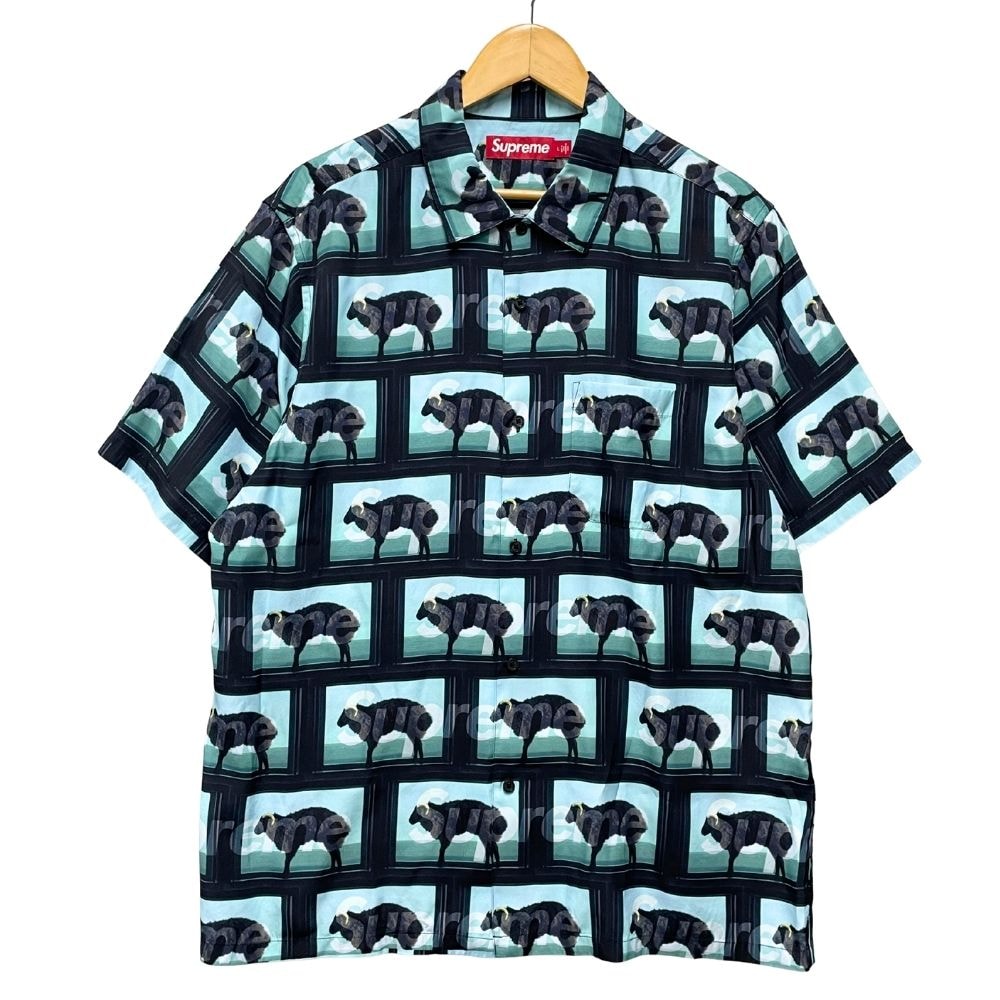 SUPREME 25SS Damien Hirst S/S Shirt 総柄 半袖シャツ  51733