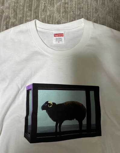Supreme Damien Hirst Tee "White"