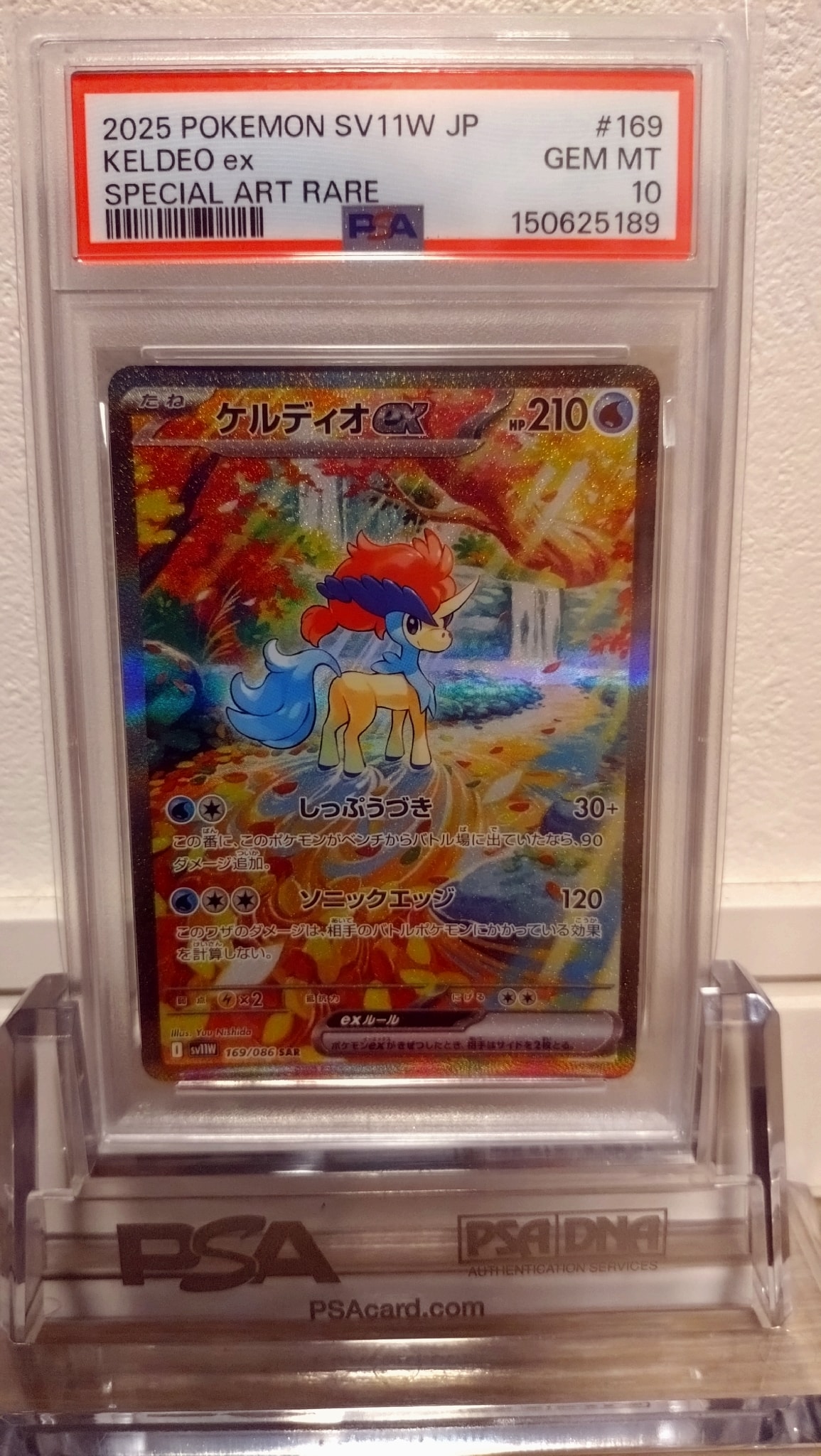 ケルディオex SAR [SV11W 169/086](拡張パック「ホワイトフレア」)通販