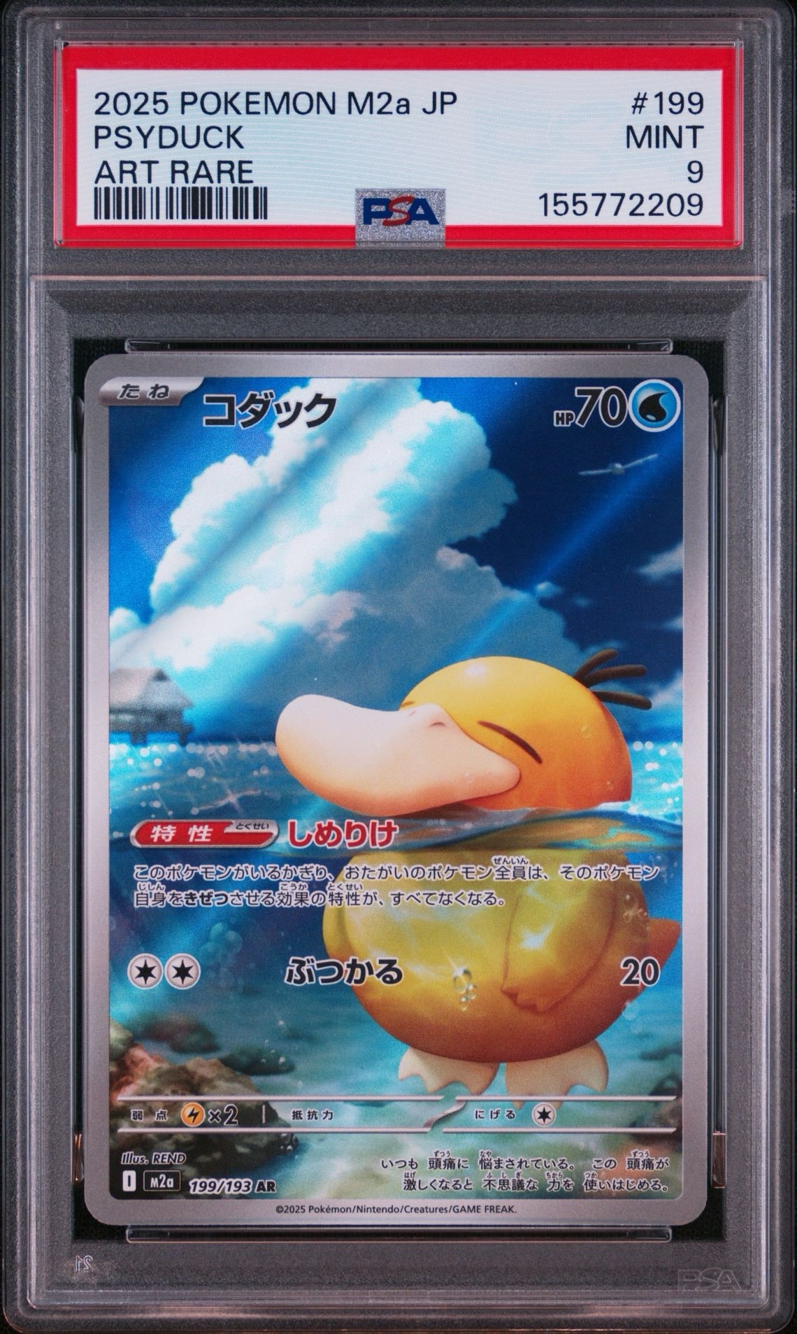 コダック AR [M2a 199/193](ハイクラスパック「MEGAドリームex」)通販