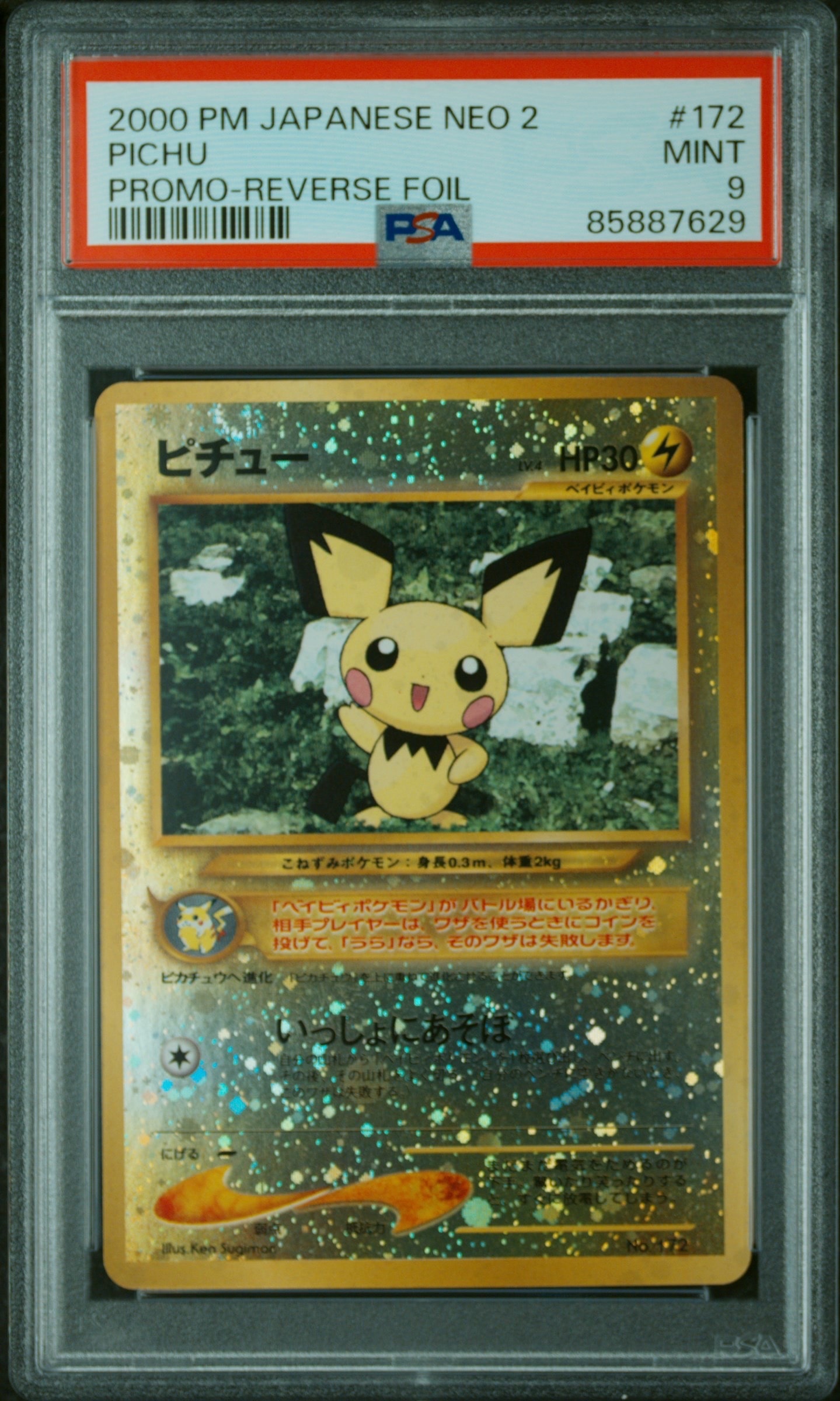 ピチュープレミアムファイル2: 旧裏[neoP2 No.172](プレミアムファイル2)