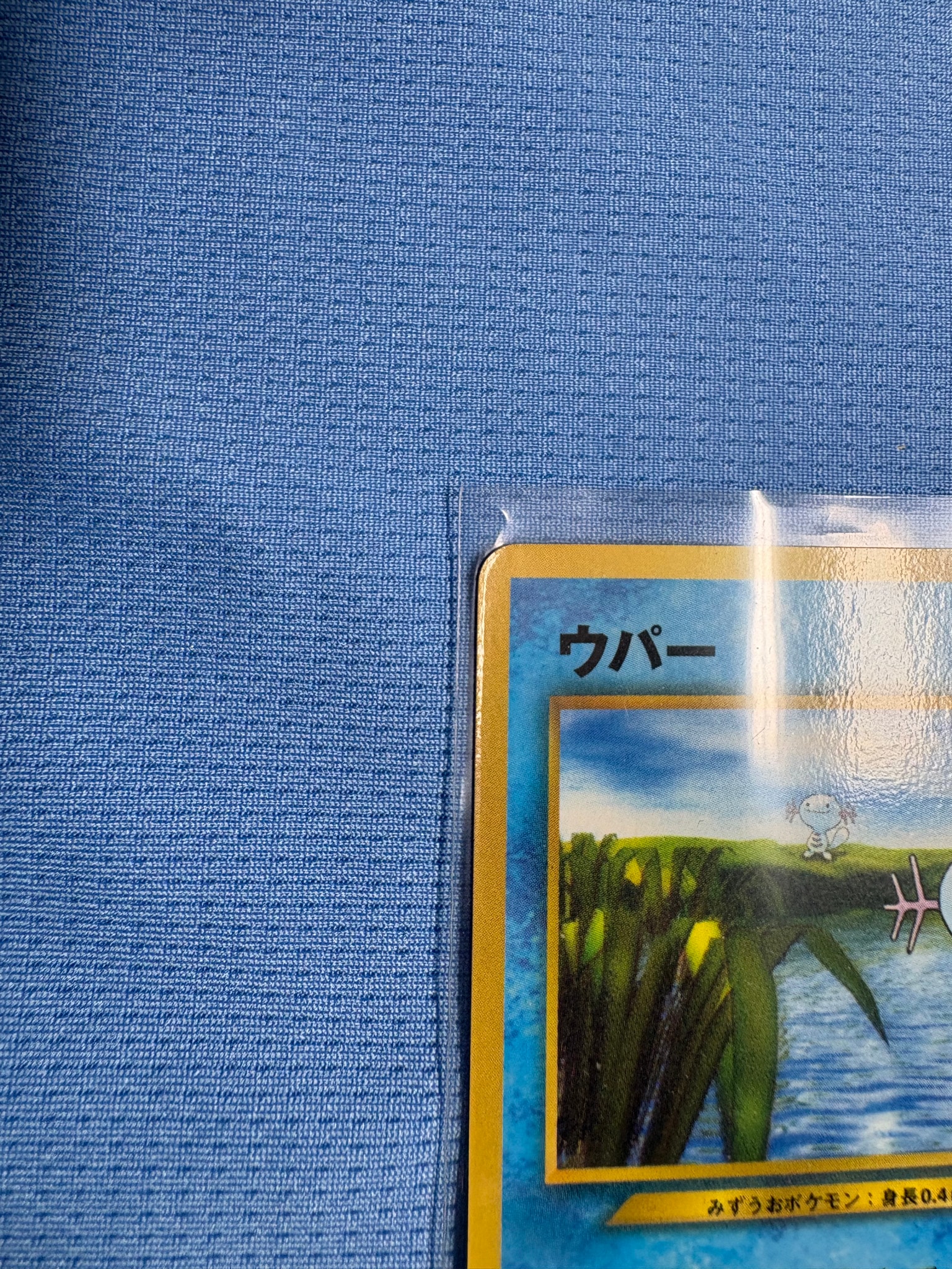 D（大きなダメージあり）】ウパー P : 旧裏 [neo-P](プロモーション