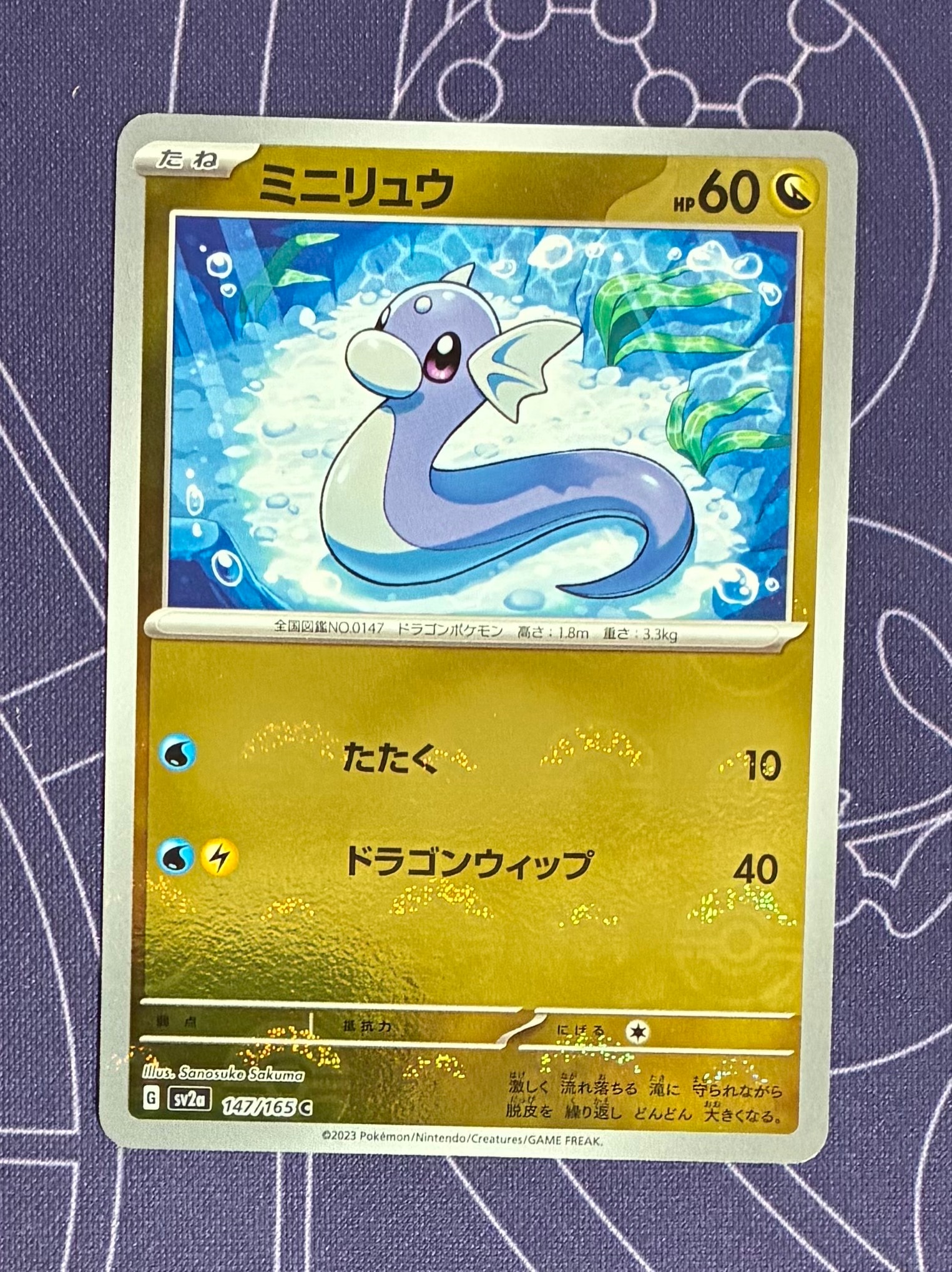 PSA10】ミニリュウ C: マスターボールミラー[SV2a 147/165](強化拡張