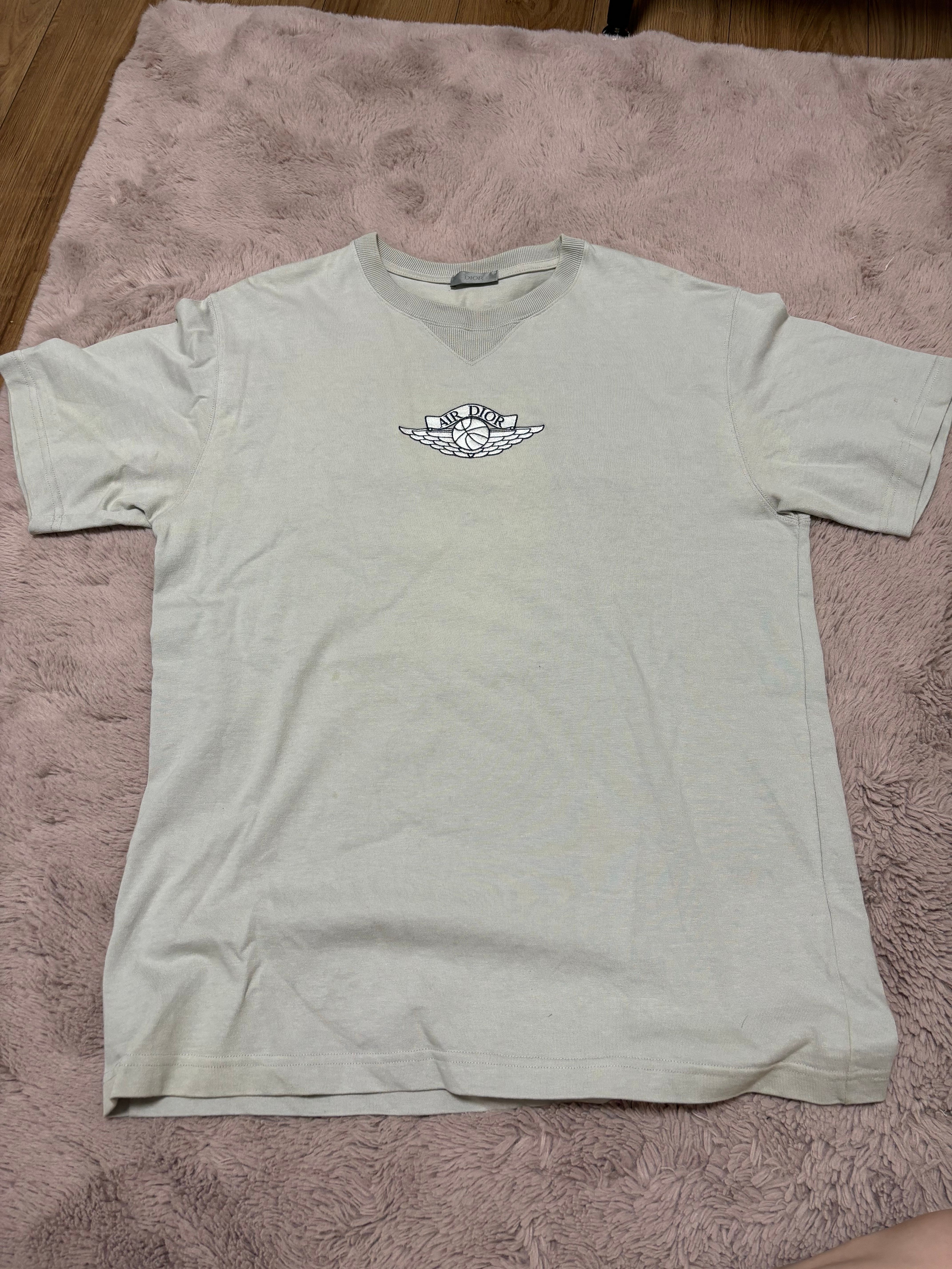 Dior x Air Jordan Wings T-Shirt "Gray"
