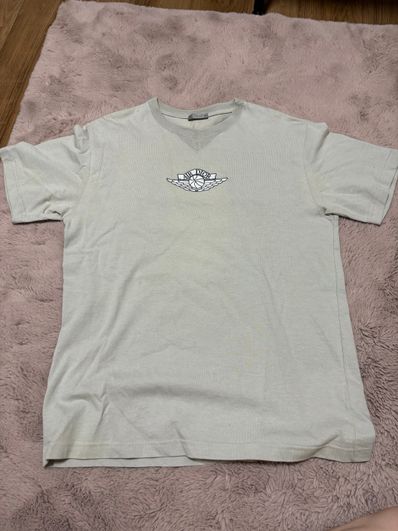 Dior x Air Jordan Wings T-Shirt "Gray"