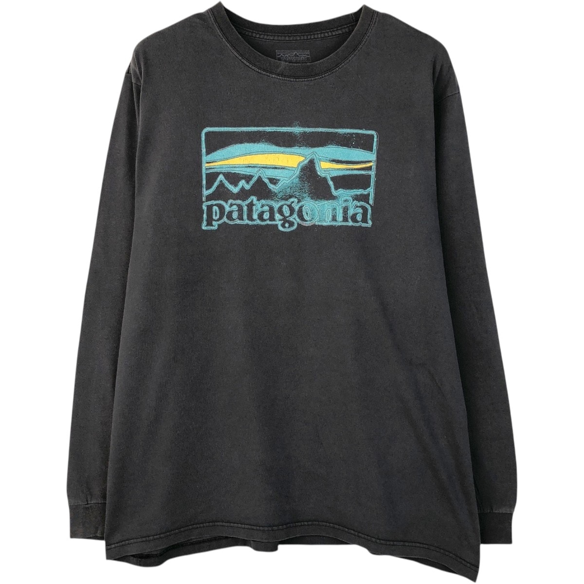 古着 パタゴニア Patagonia 38935FA16 ロングTシャツ ロンT メンズL相当/eaa671403