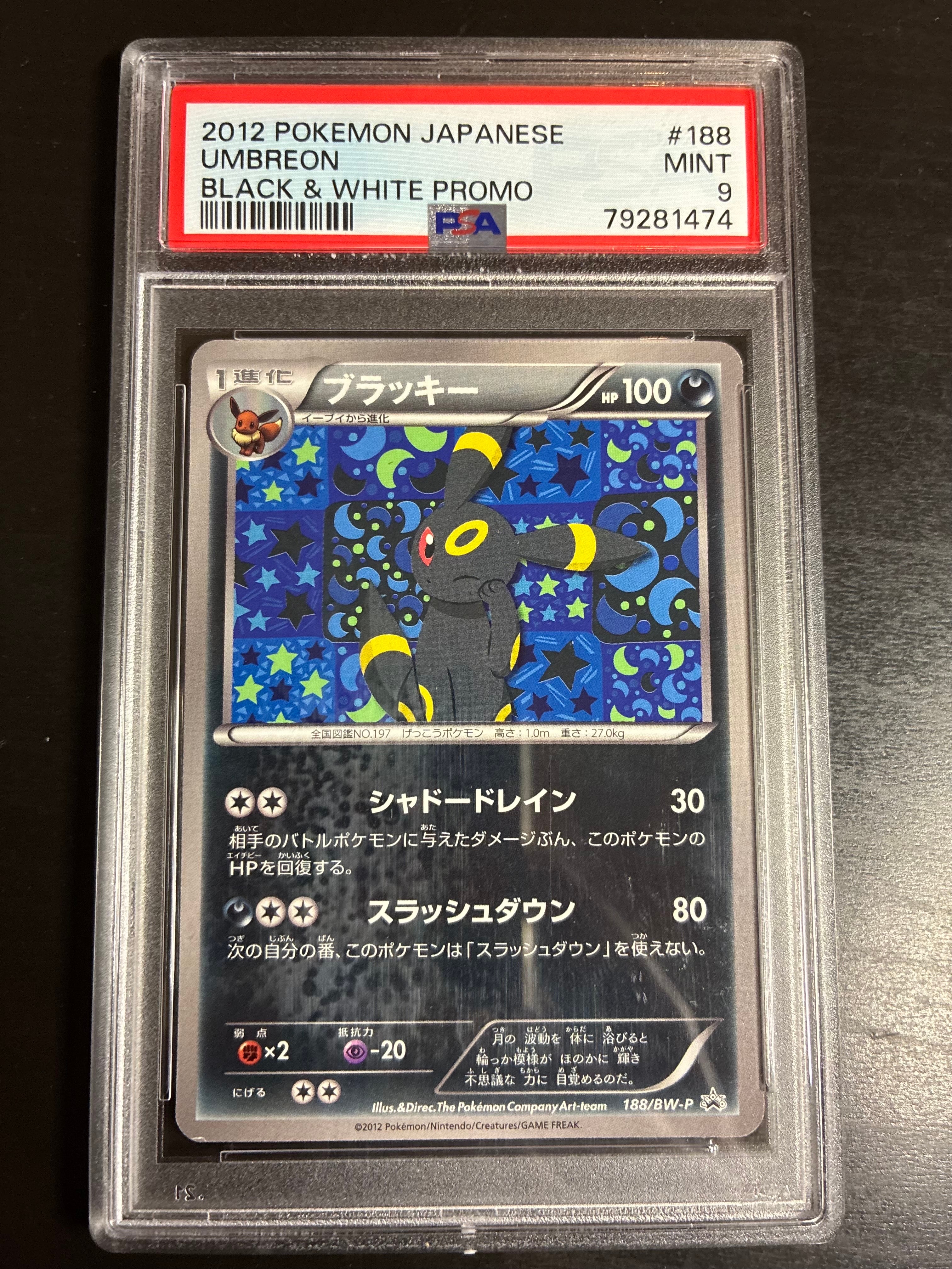 ブラッキー P [BW-P 188/BW-P](プロモーションカード「コレクション