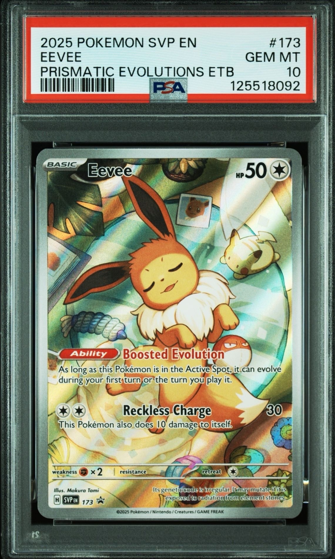 イーブイ P [SVP EN 173]【英語版】(スカーレット&バイオレット「プリズマティックエボリューションズ エリートトレーナボックス」)