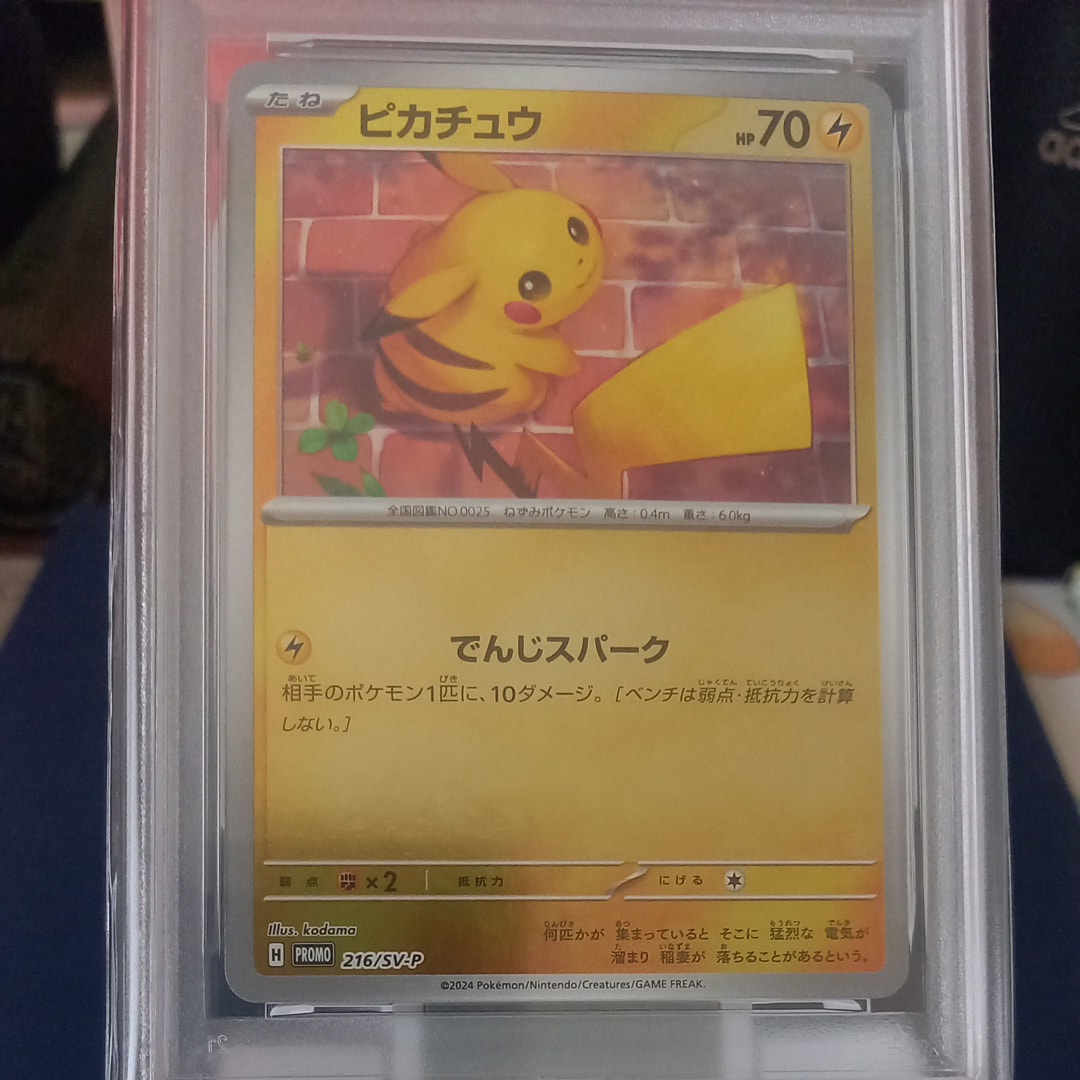 ピカチュウ P [SV-P 216](プロモカードパック「ポケカの夏がキタ!プロモカードGetキャンペーン!」)