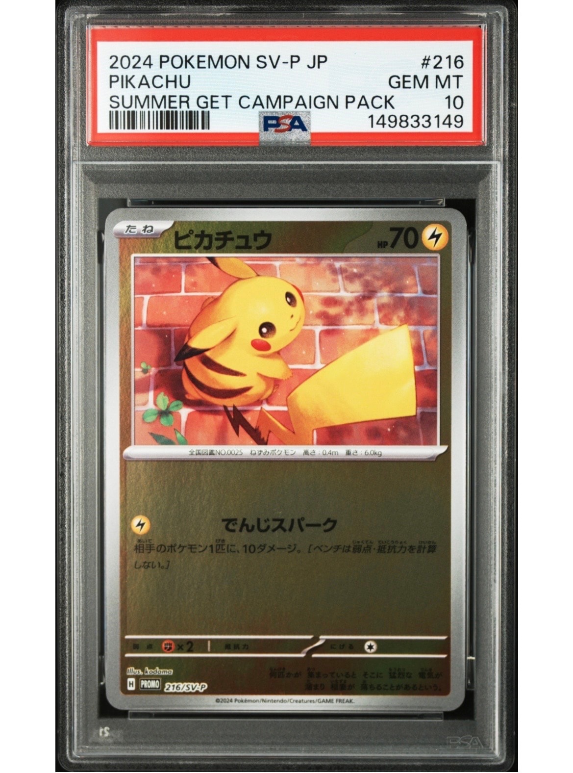 ピカチュウ P [SV-P 216](プロモカードパック「ポケカの夏がキタ