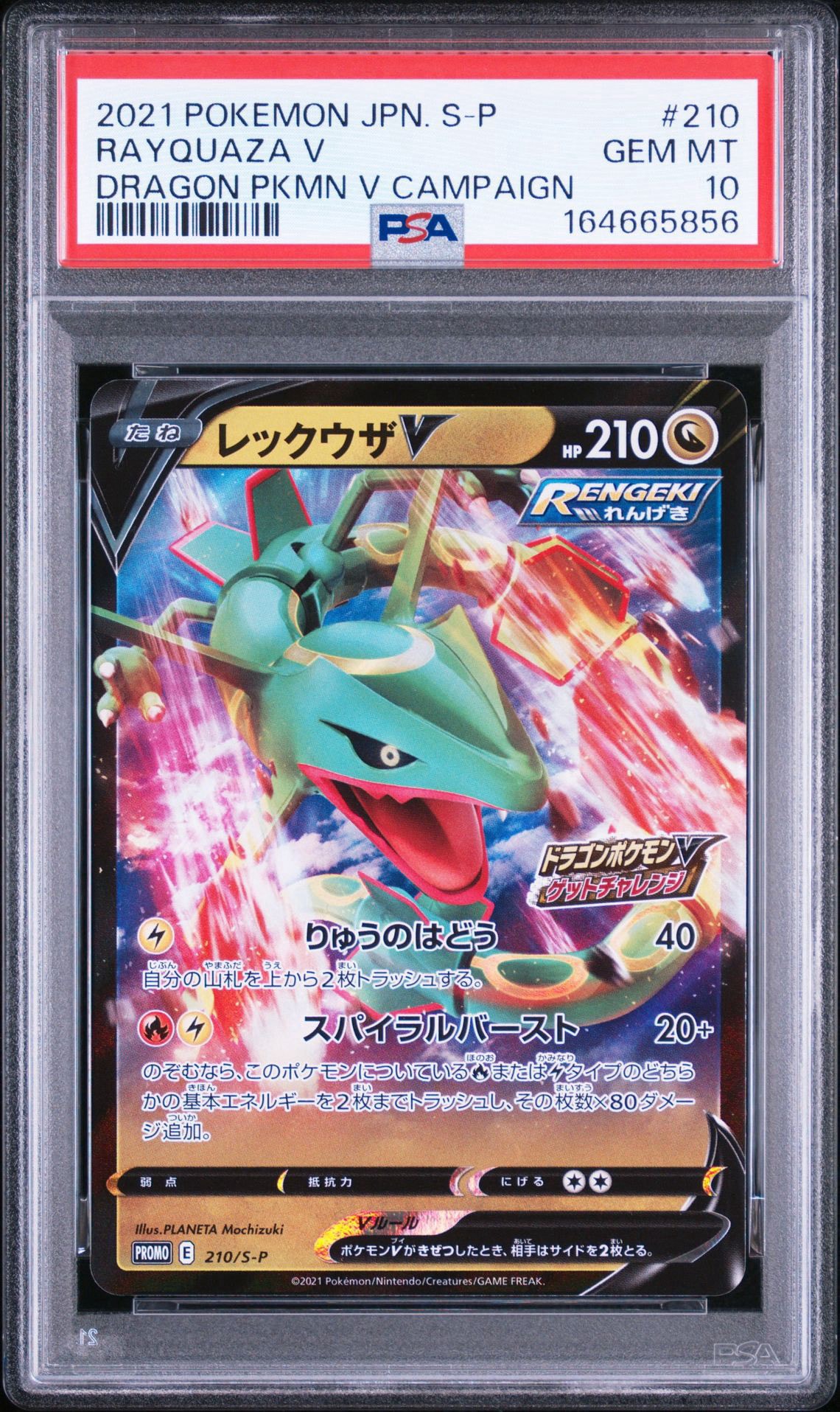 レックウザV: プロモ P [S-P 210]れんげき まとめ売り レックウザV: プロモ P [S-P 210](プロモーションカード「S-P」)通販