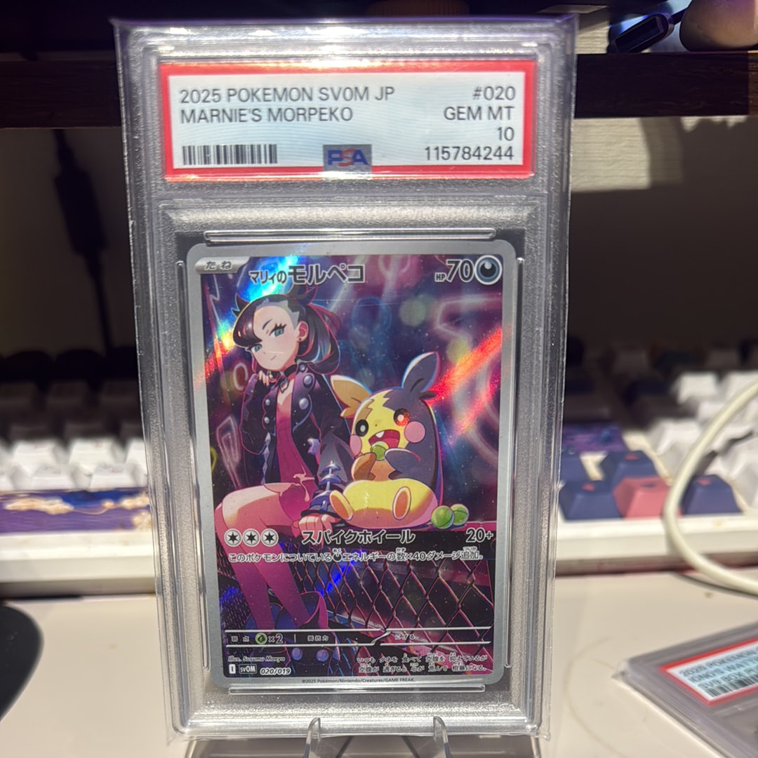 マリィのモルペコ [SVOM 020/019](スターターセットex「マリィのモルペコ&オーロンゲex」)