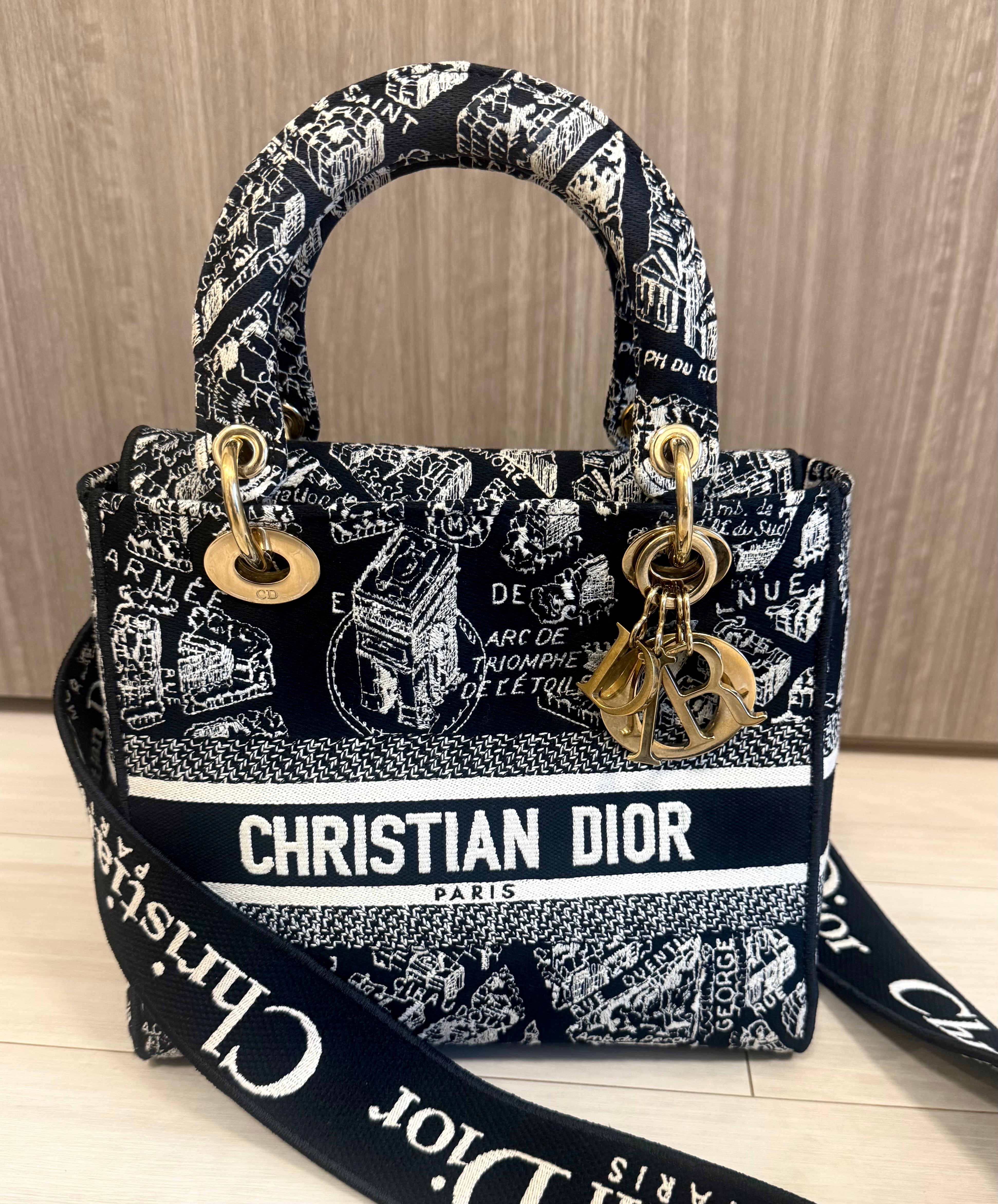 Dior Medium Lady D Lite Bag Plan de Paris Embroidery "Black/White"