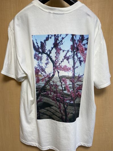 FEAR OF GOD ESSENTIALS Photo T-shirt "White"