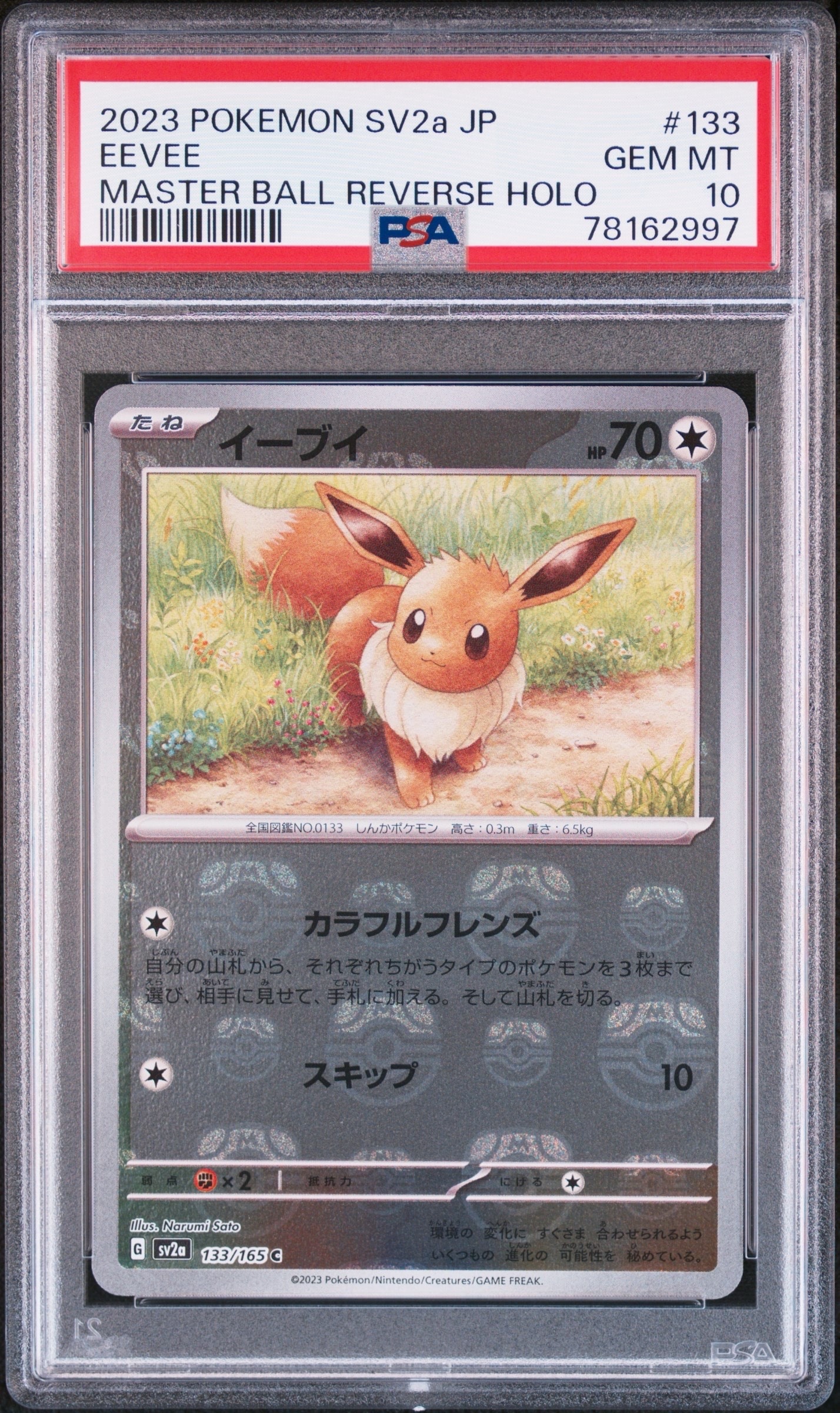 カナザワのピカチュウ: プロモ (マークあり) [S-P 144](プロモーション