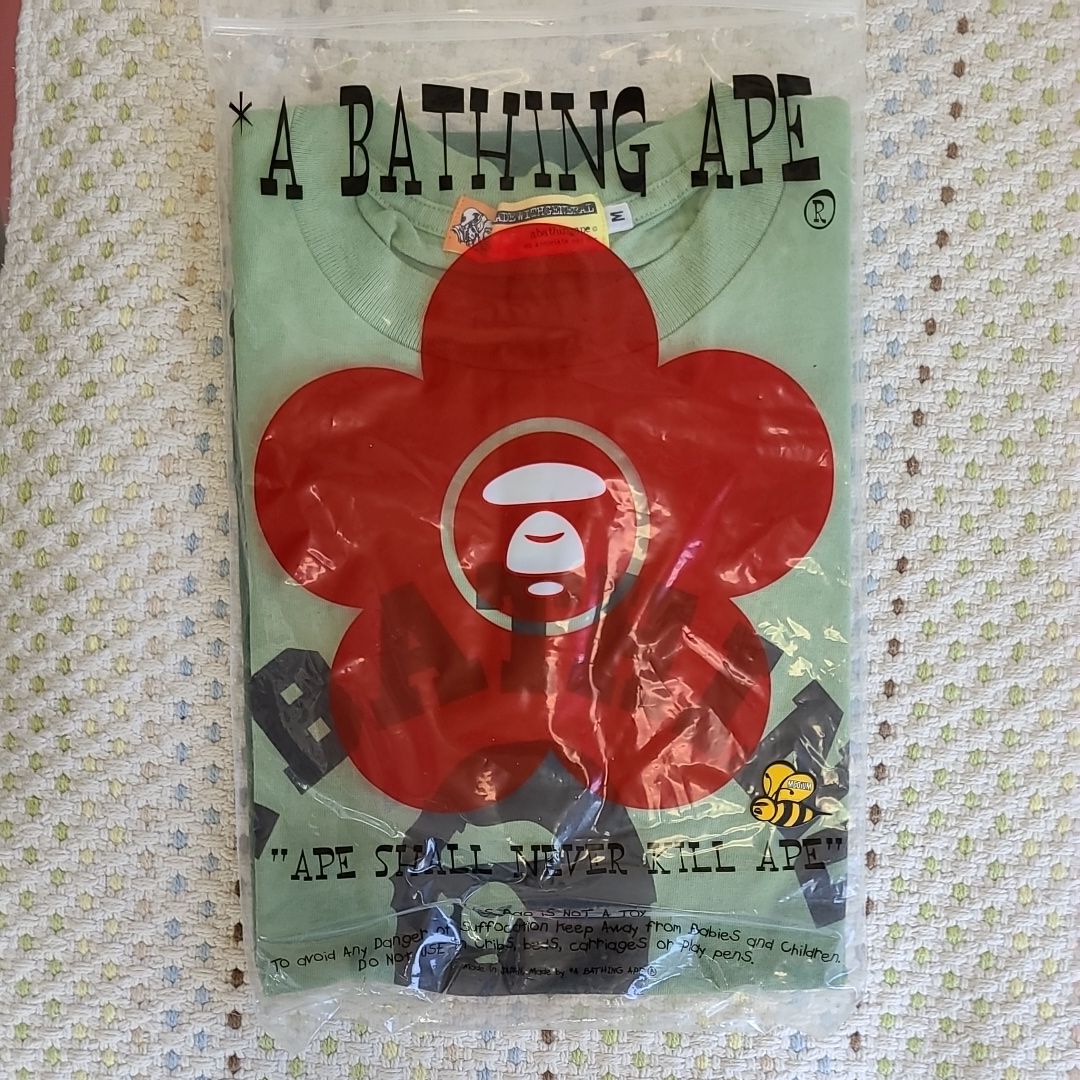 BATHINGAPE グラデーションカレッジロゴ初期モデル